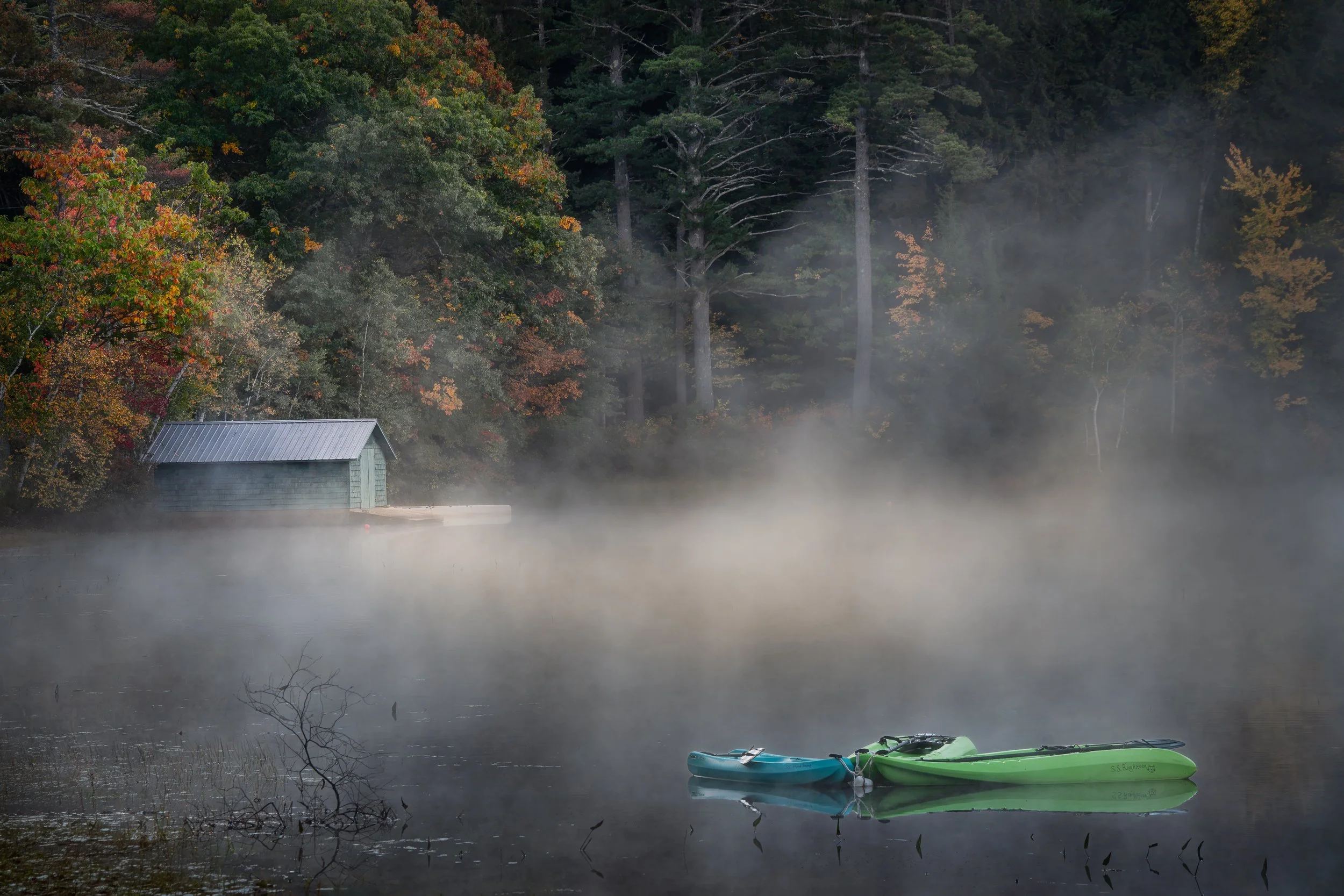 Waiting in the Mist.jpg