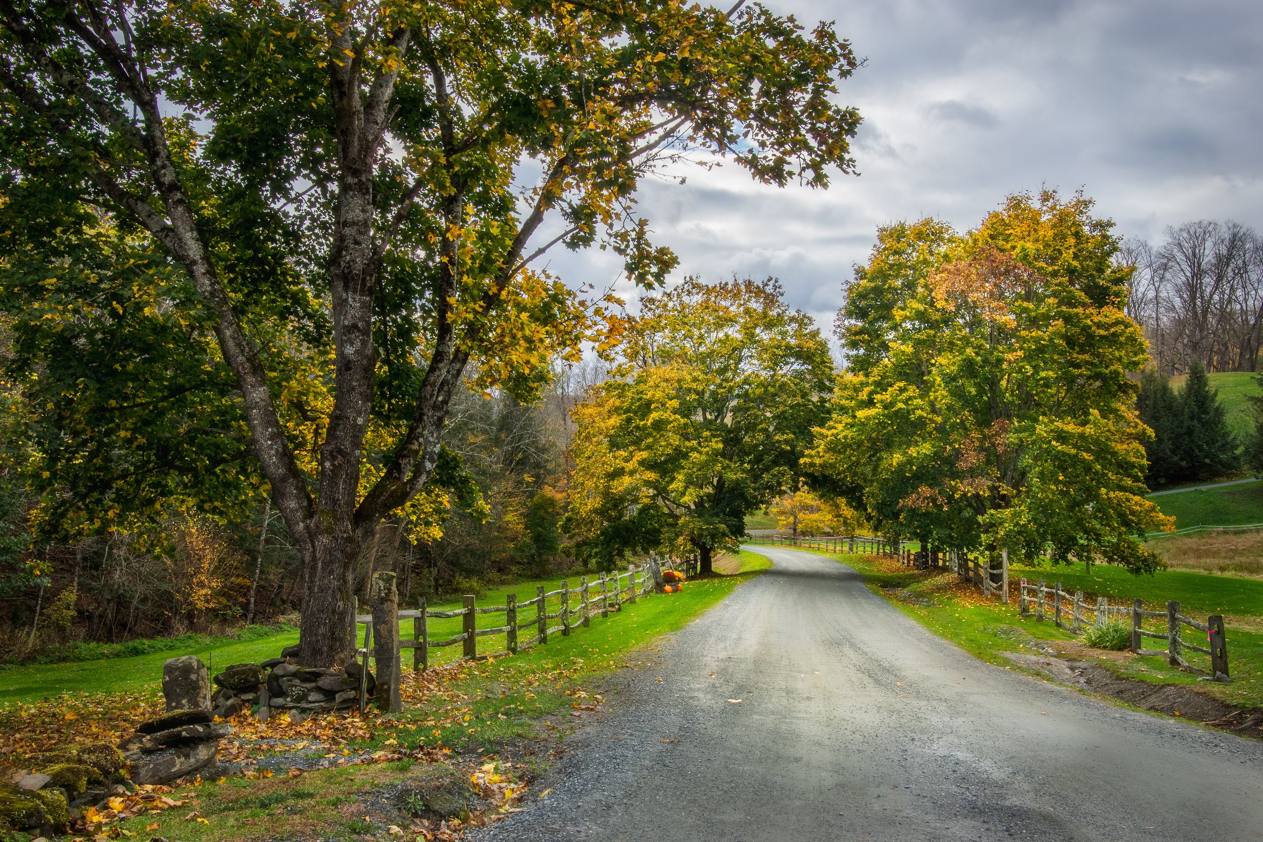 The Road Into Autumn