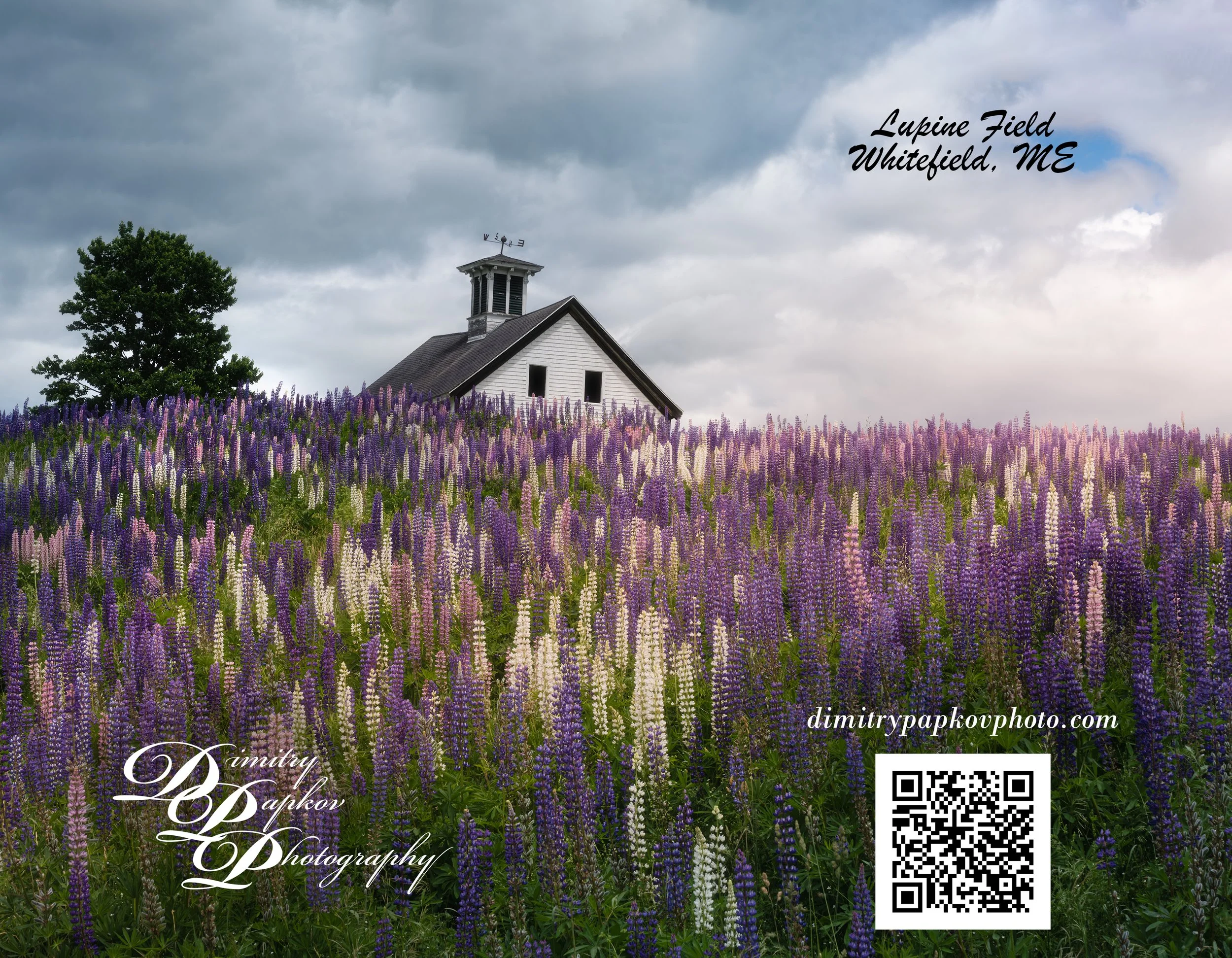 back cover.jpg