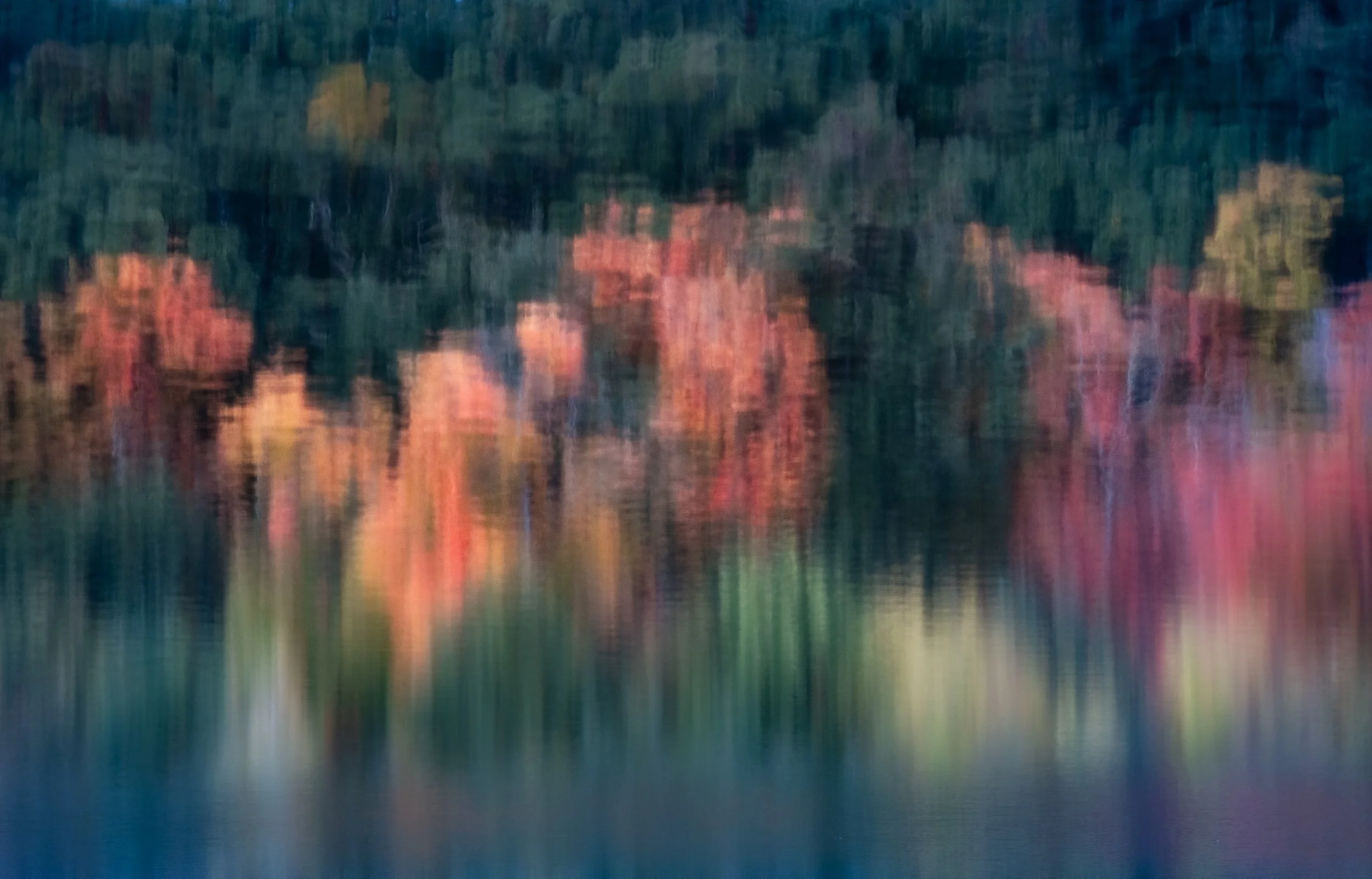 Autumn, Dissolved.jpg