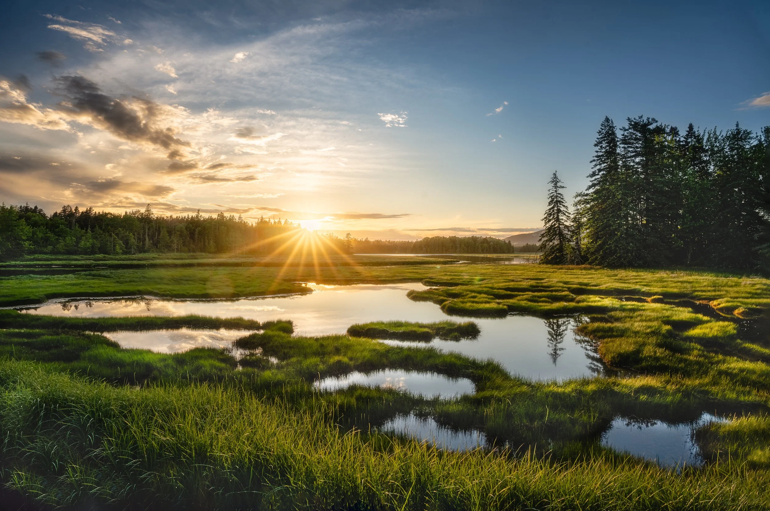 Marsh Sunset
