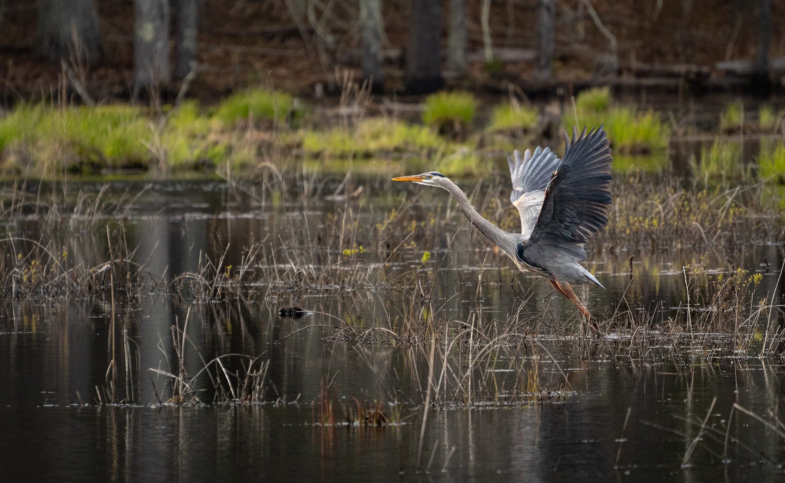 Take-off