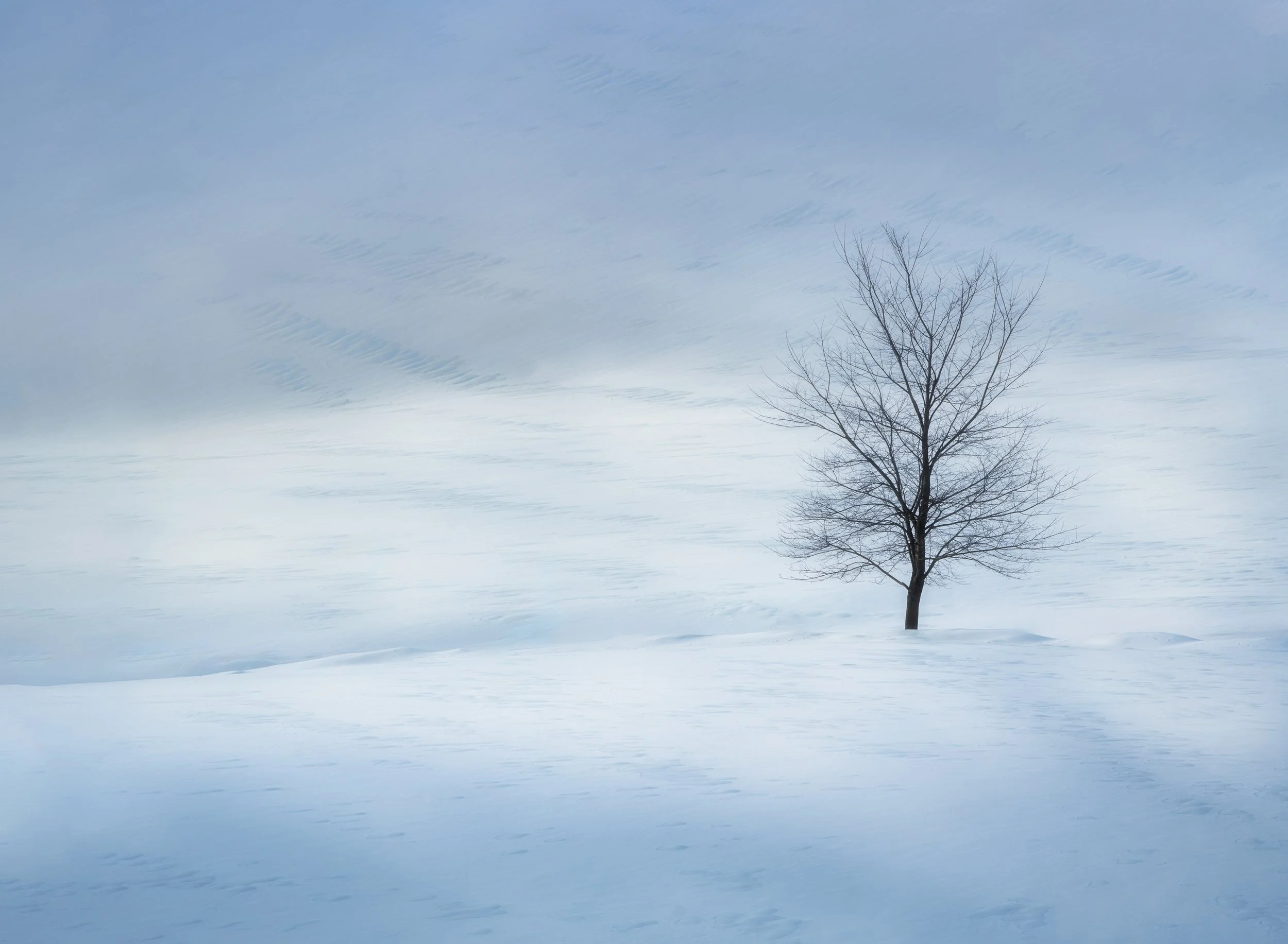 Frozen Loneliness