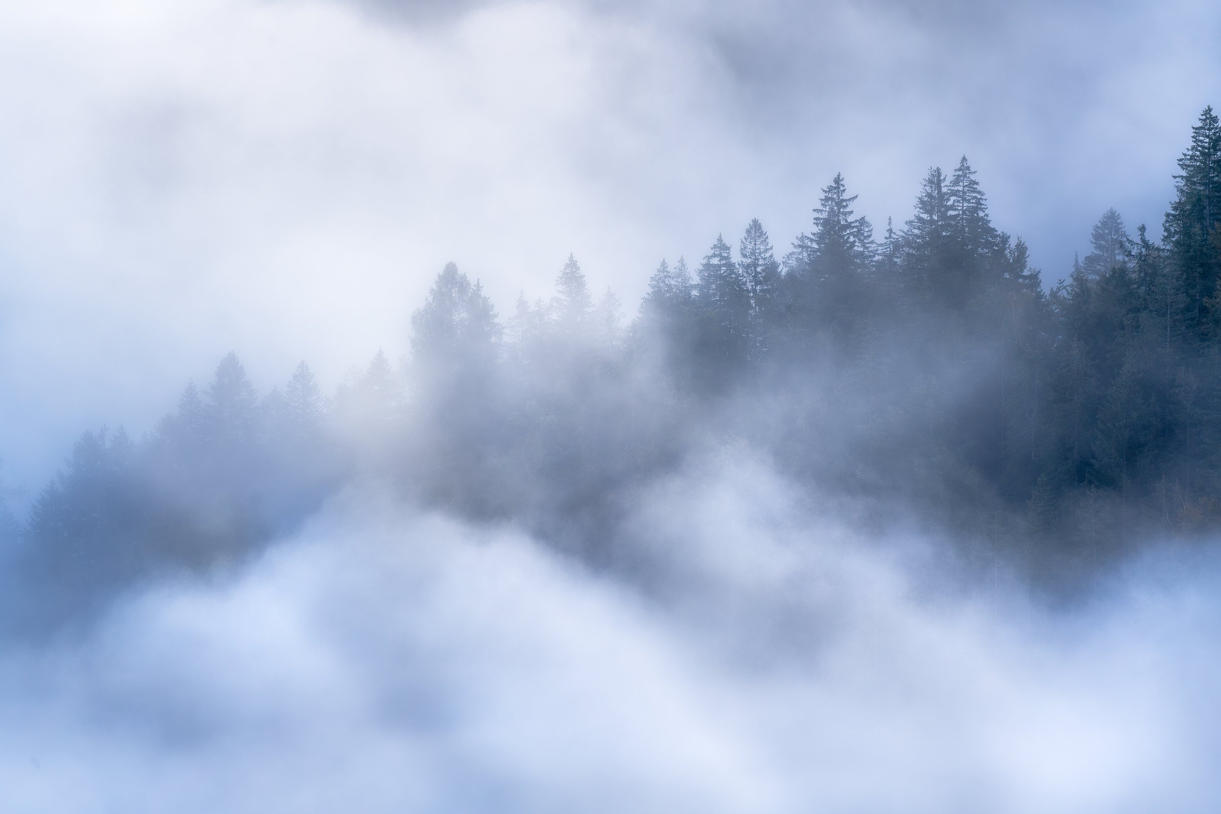 Blue Silence