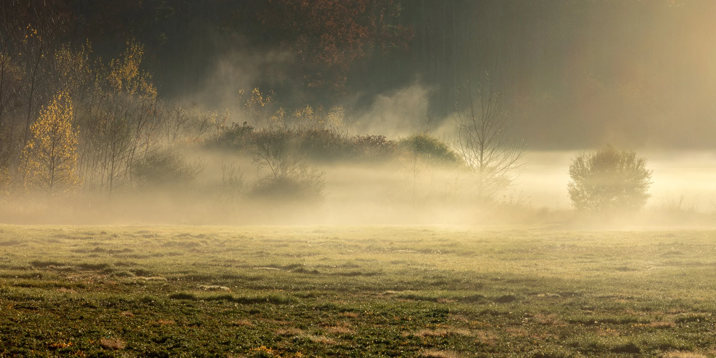 Mist at the Cumberland Farm