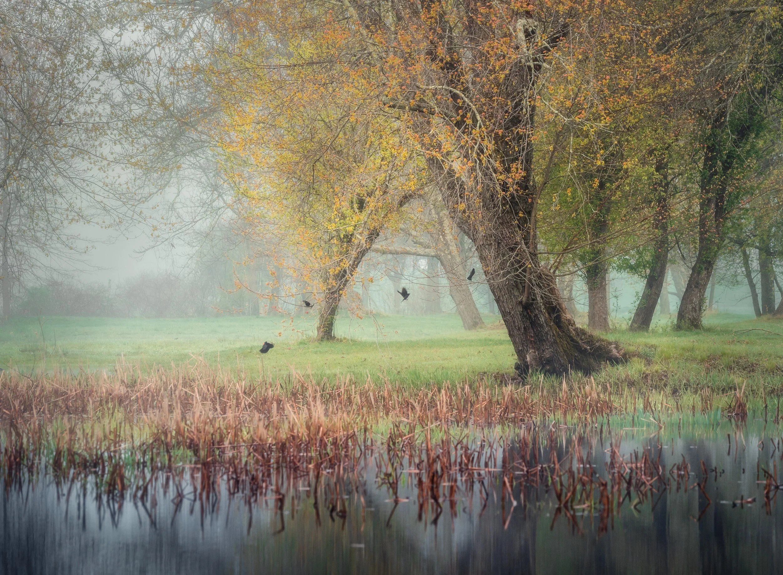 Mist over Water