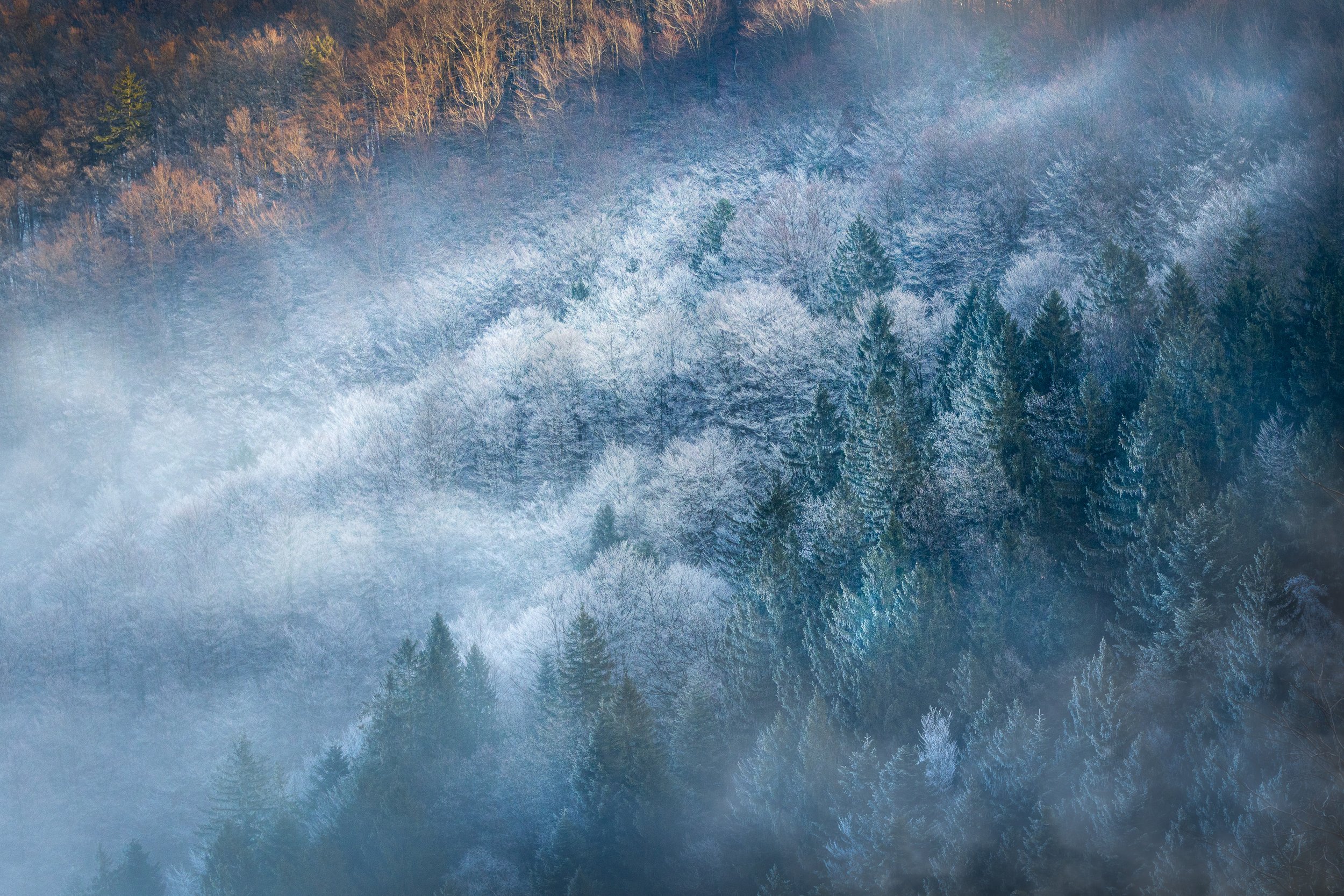 Between Frost and Breath