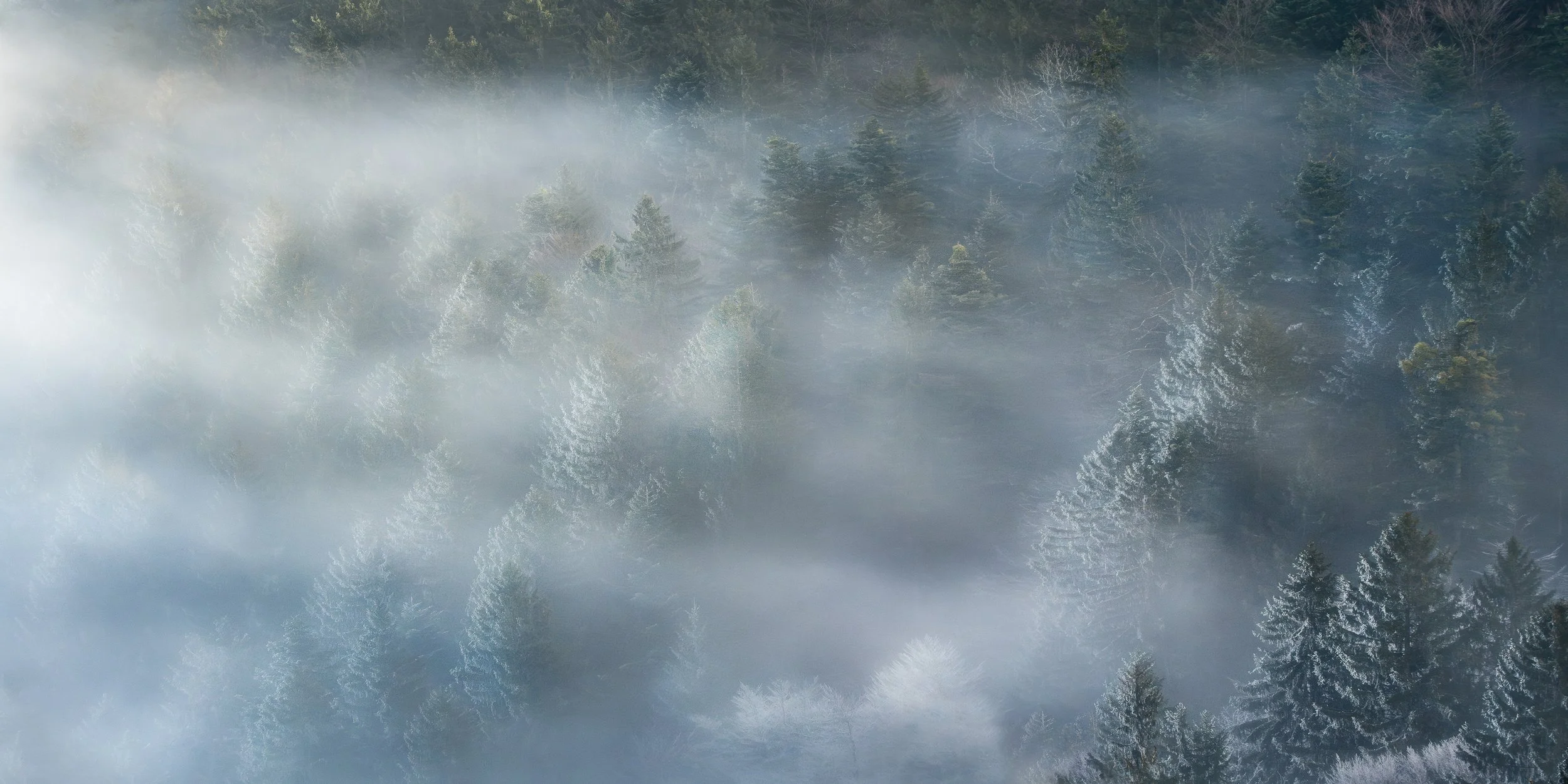 Where the Mist Lingers