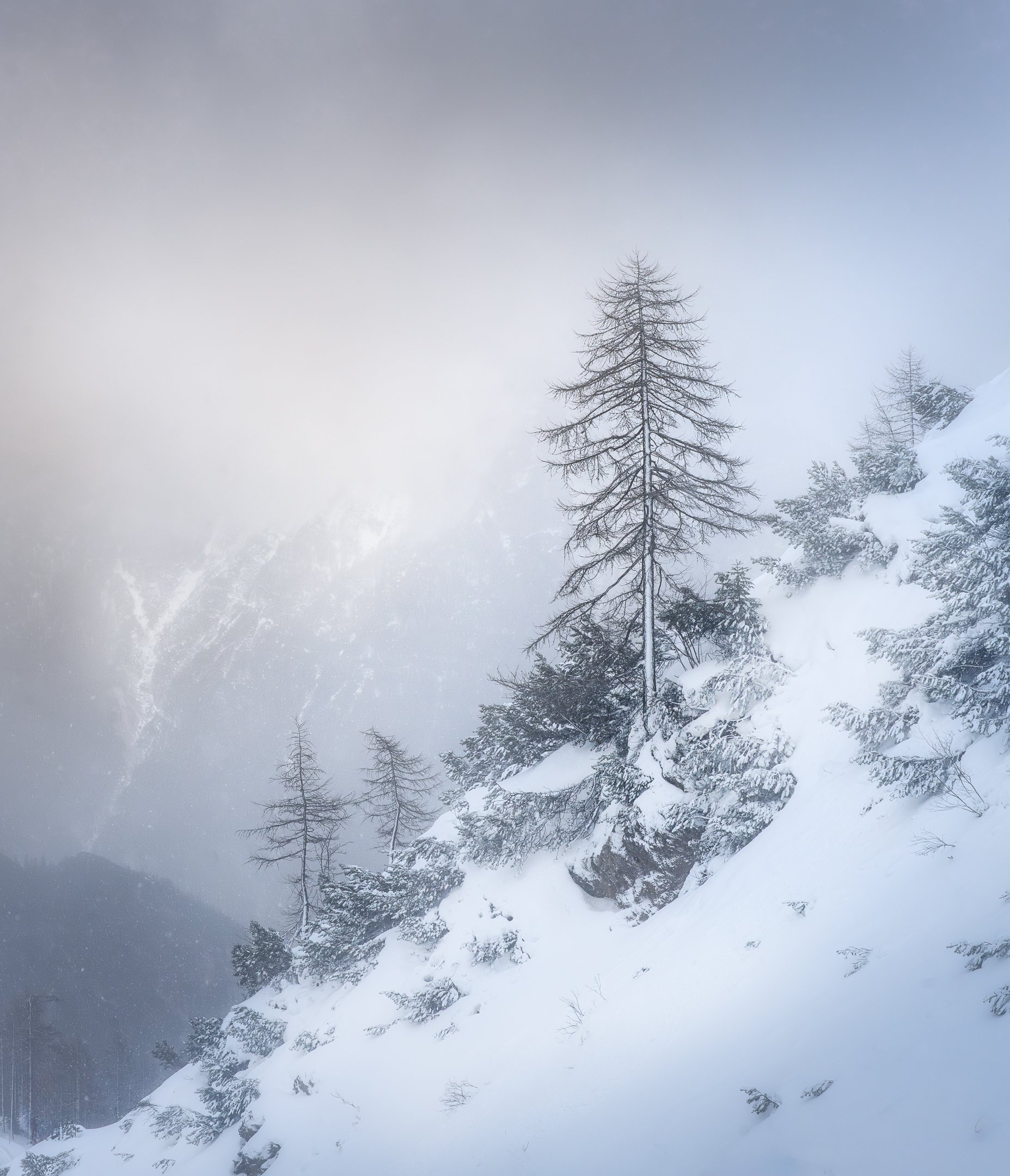 _DSC3660-Edit.jpg