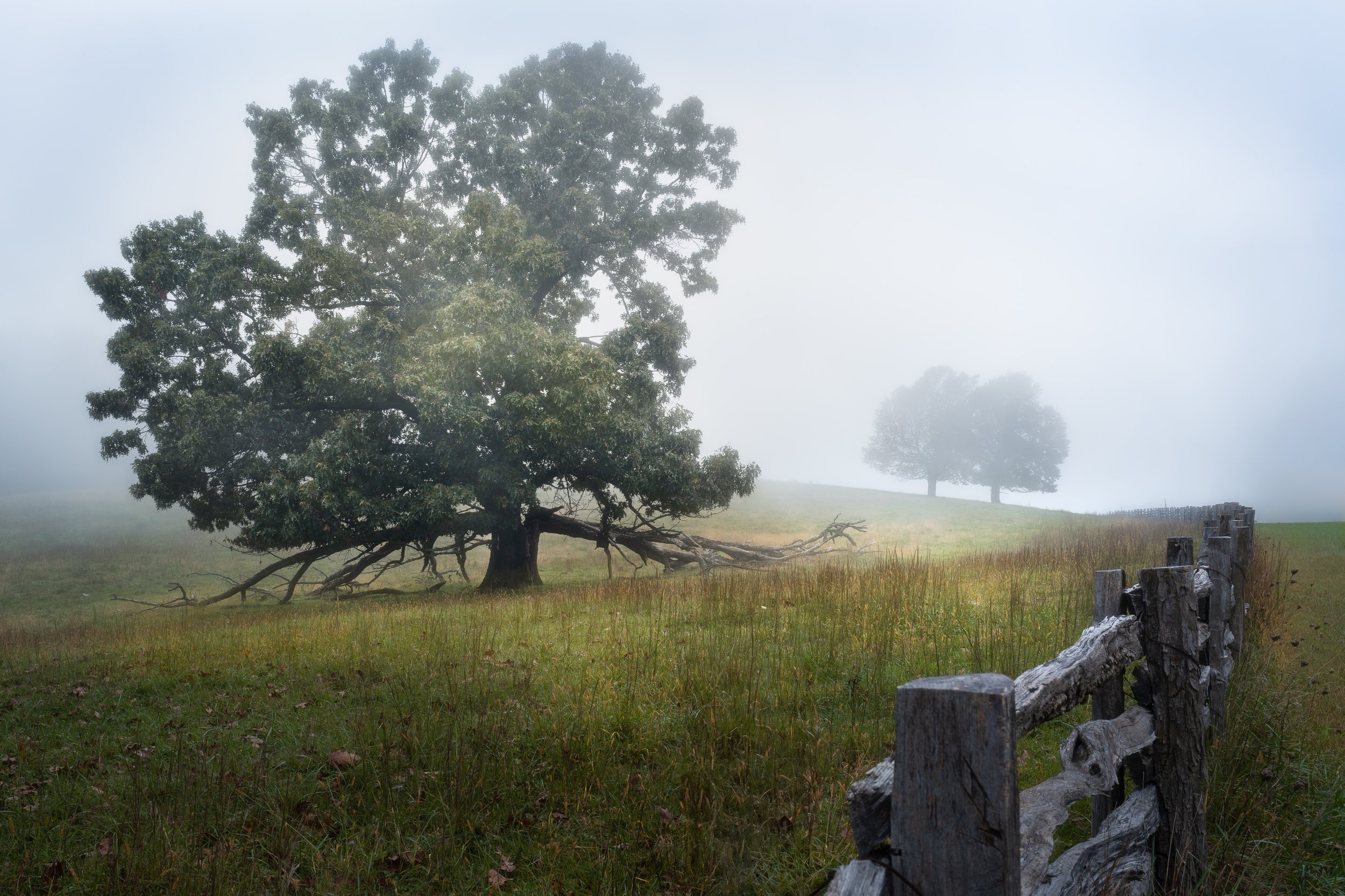 The Road Through Silence