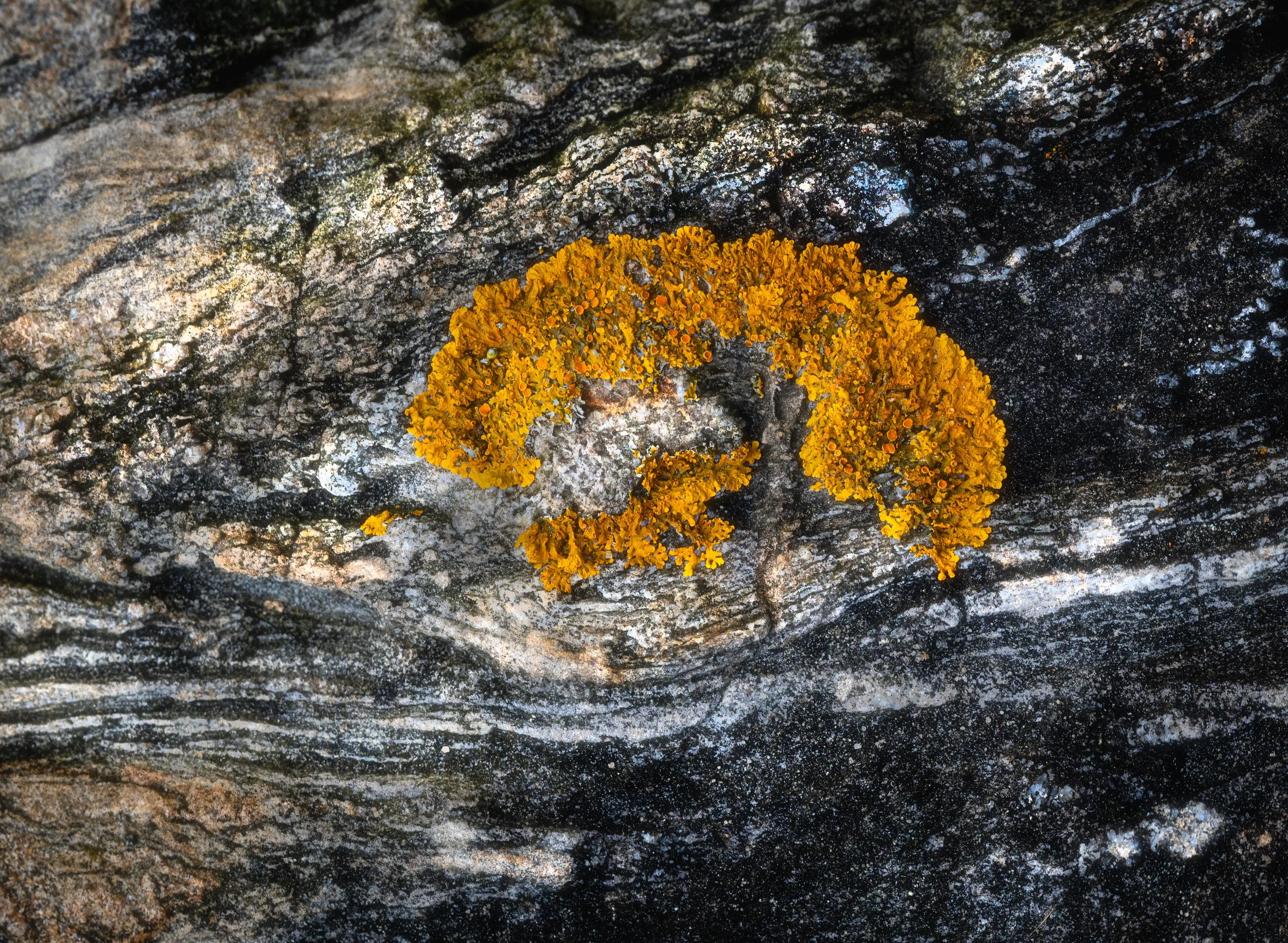 Life Among the Ancients