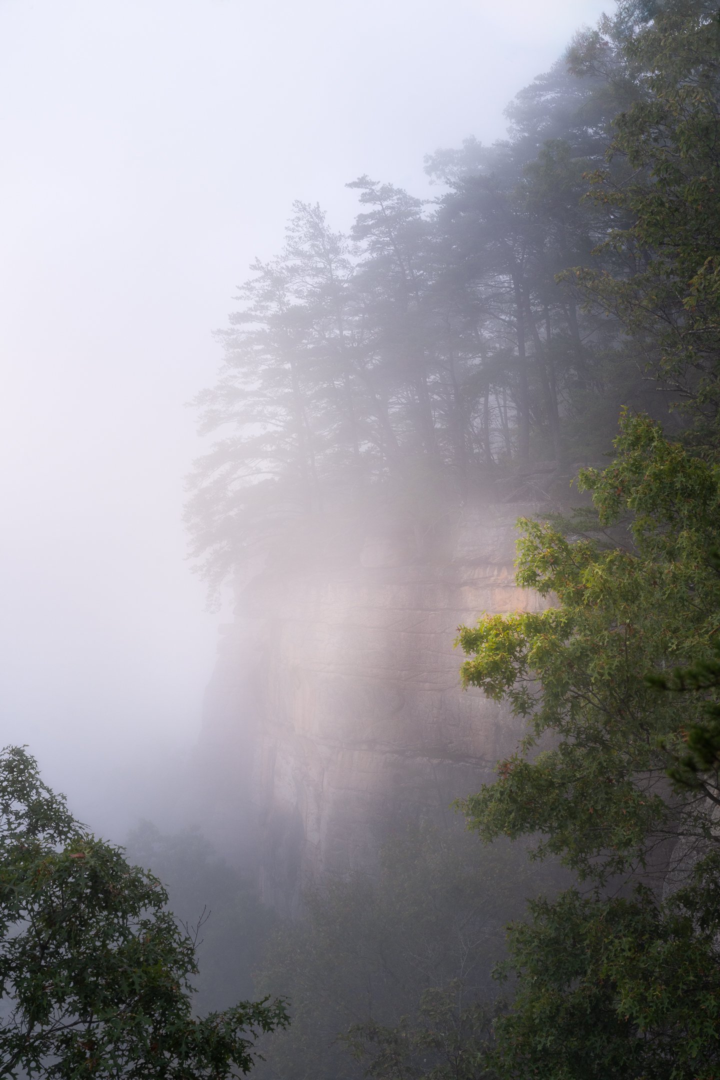 Diamond Point Overlook in Fog