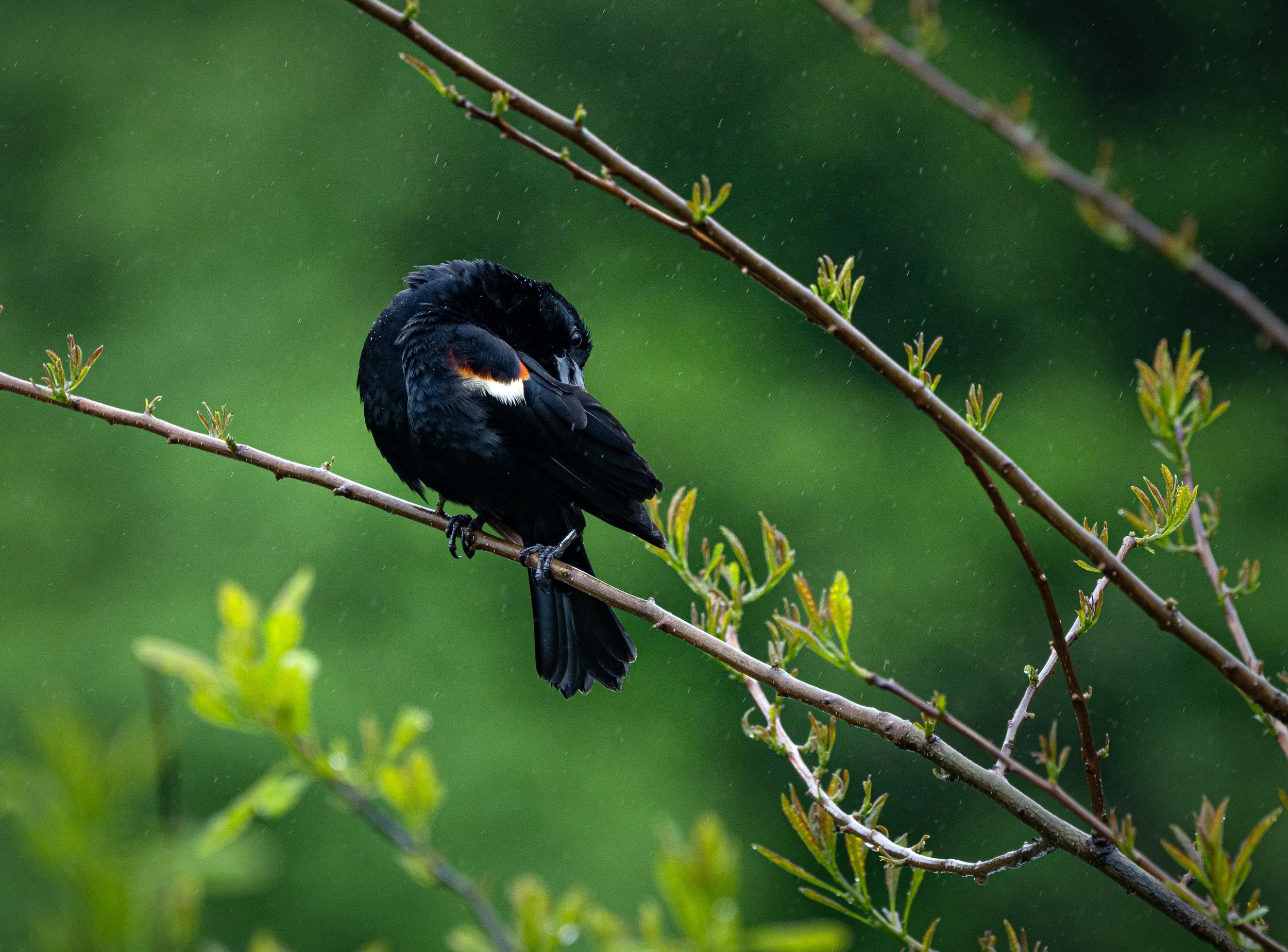 A Quiet Moment