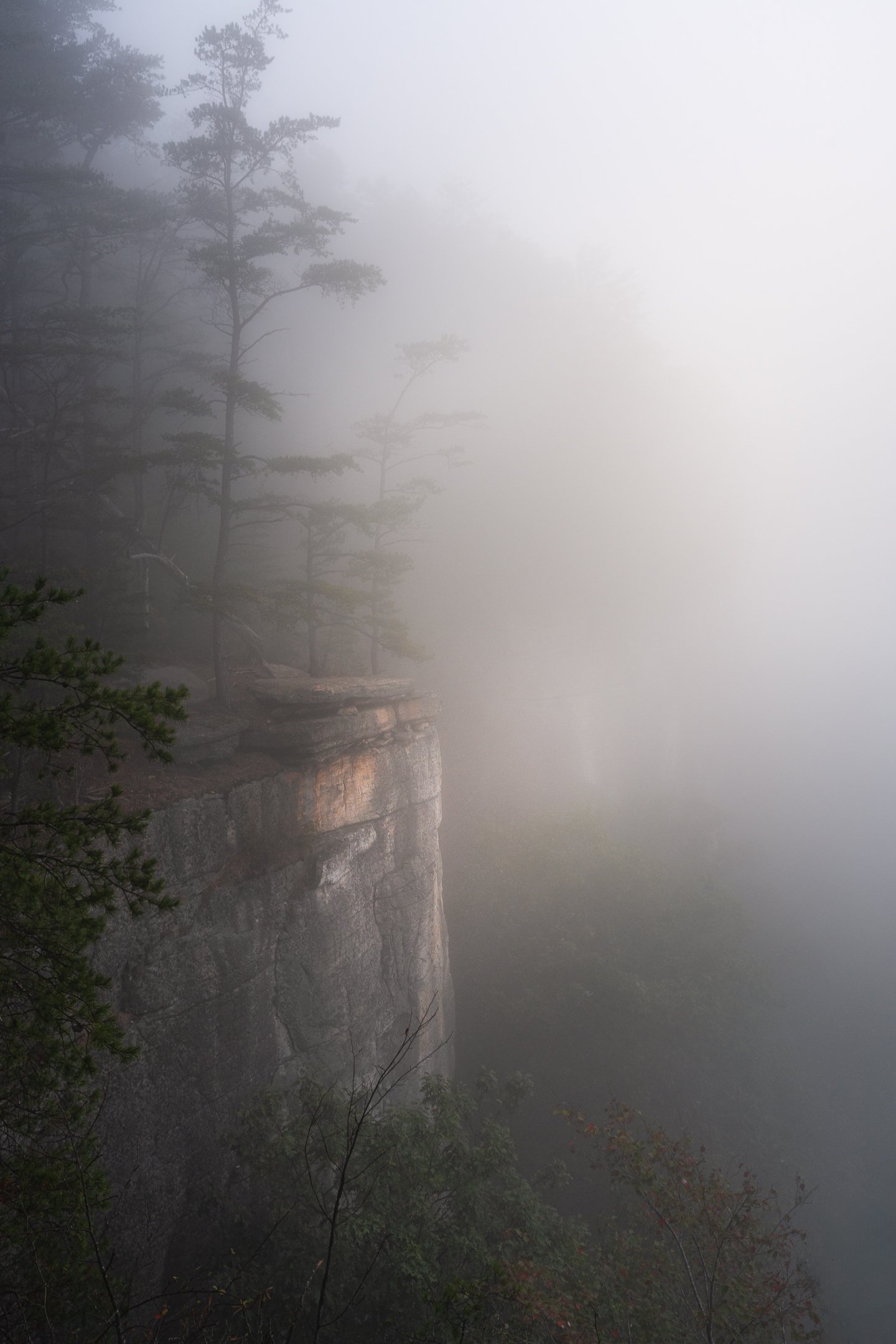 Through the Fog