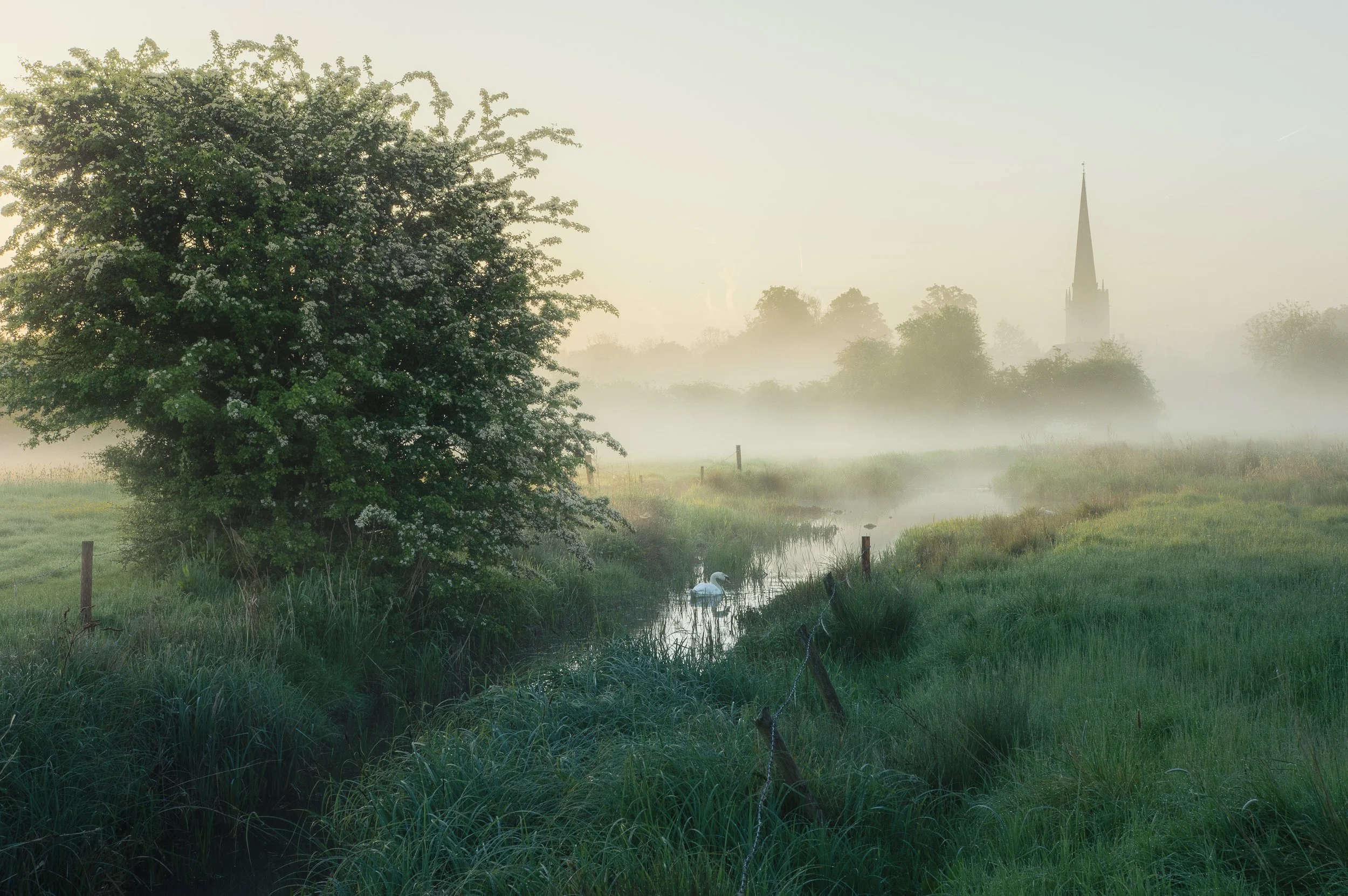 In the Morning Mist at Burford Water Meadows