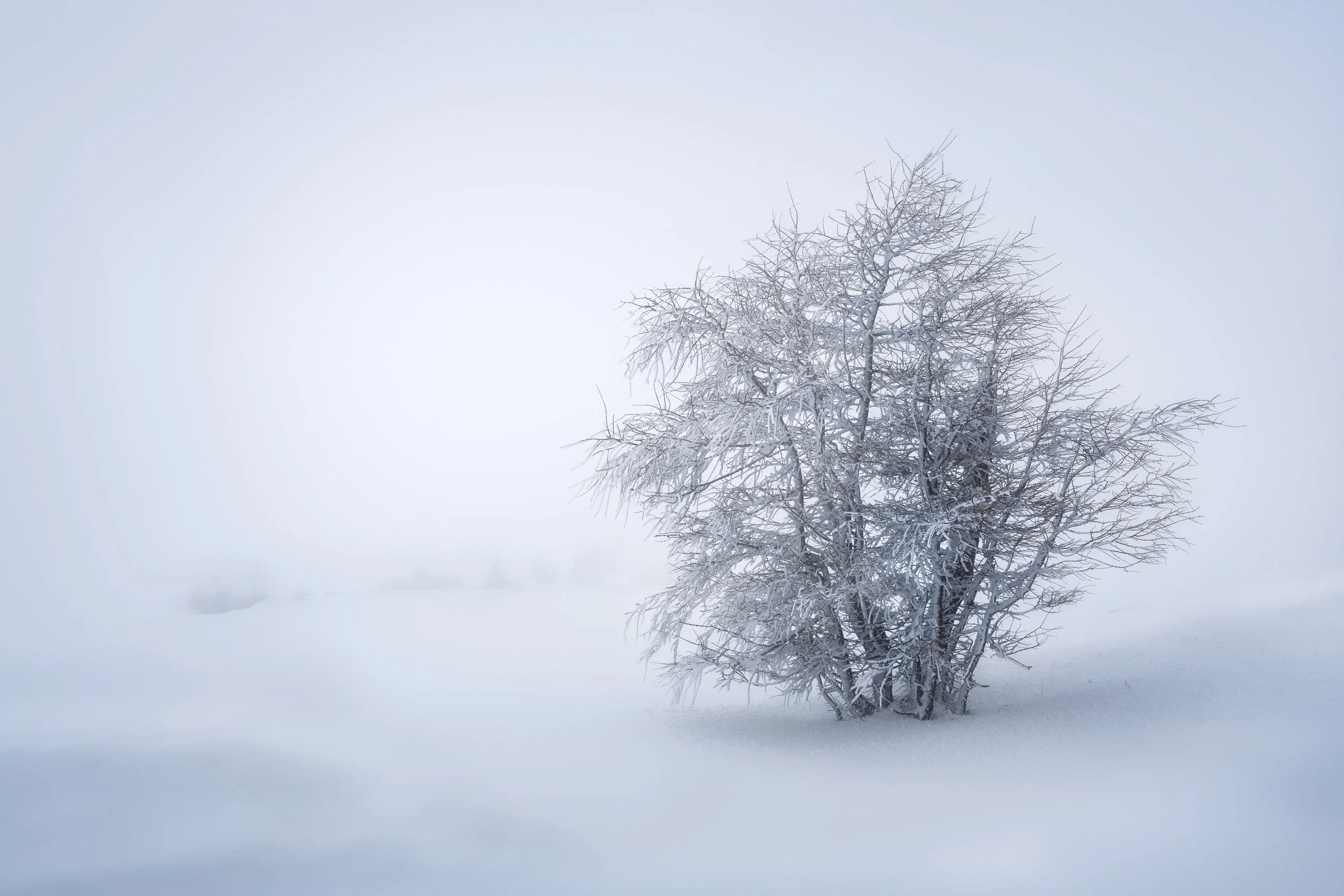 Frozen Breath.jpg