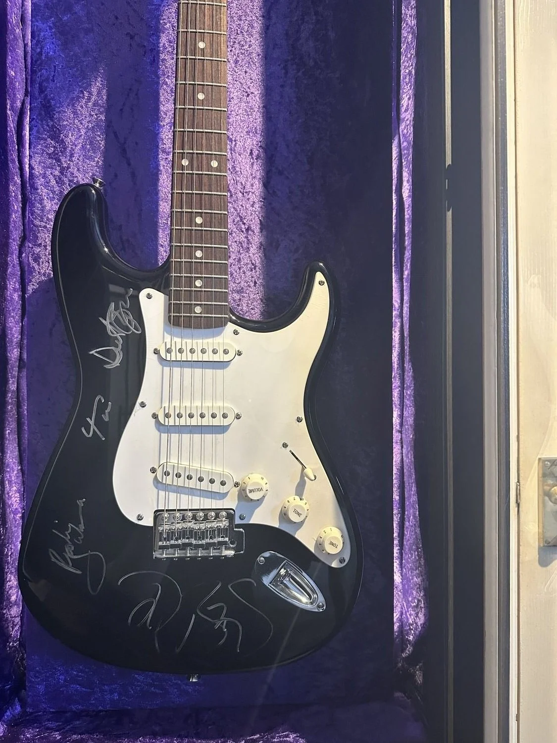 Sues+guitar+display+10.jpg