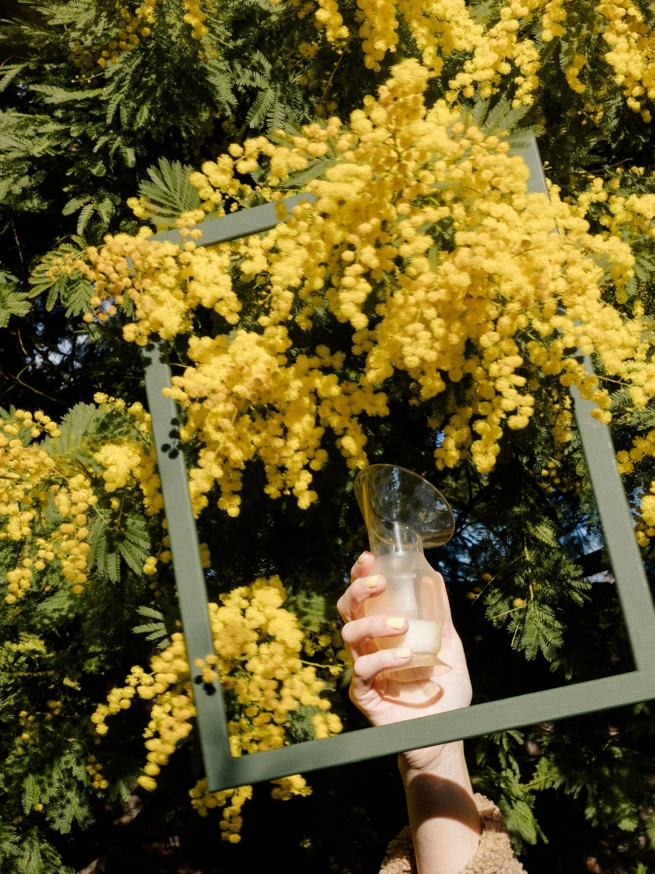 Little mat leave update&hellip; I might not be taking on any client work until after Easter, but the creativity is very much alive over here. I&rsquo;ve started work on a year-long project about motherhood and Mother Nature - February was all about m