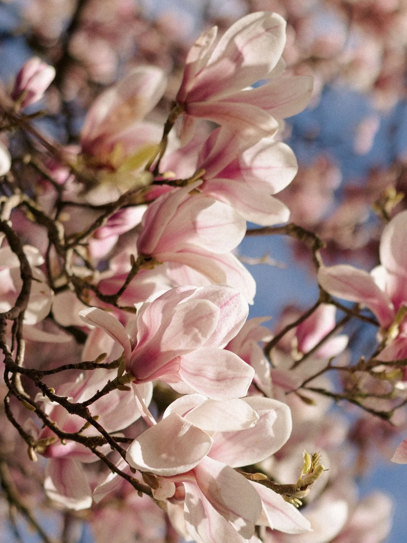 Illuminate: @wearetheemmas takeover part five

This is my last post for the takeover. We are in the middle of this assignment, and I&rsquo;m not sure I&rsquo;ve even made the work I want to present for this word, &lsquo;illuminate&rsquo;. So, this ti