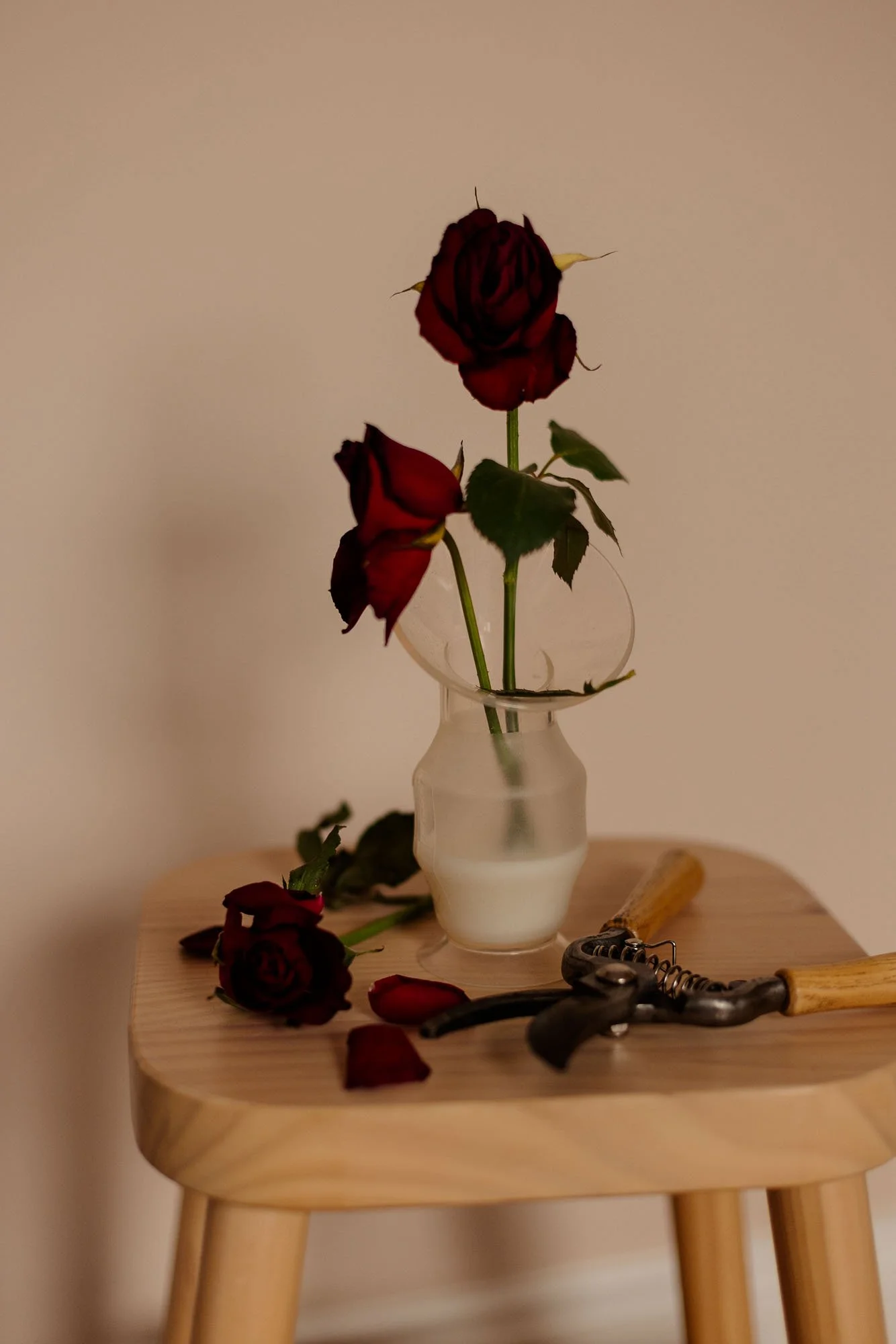 The last of the milk web-2.jpg