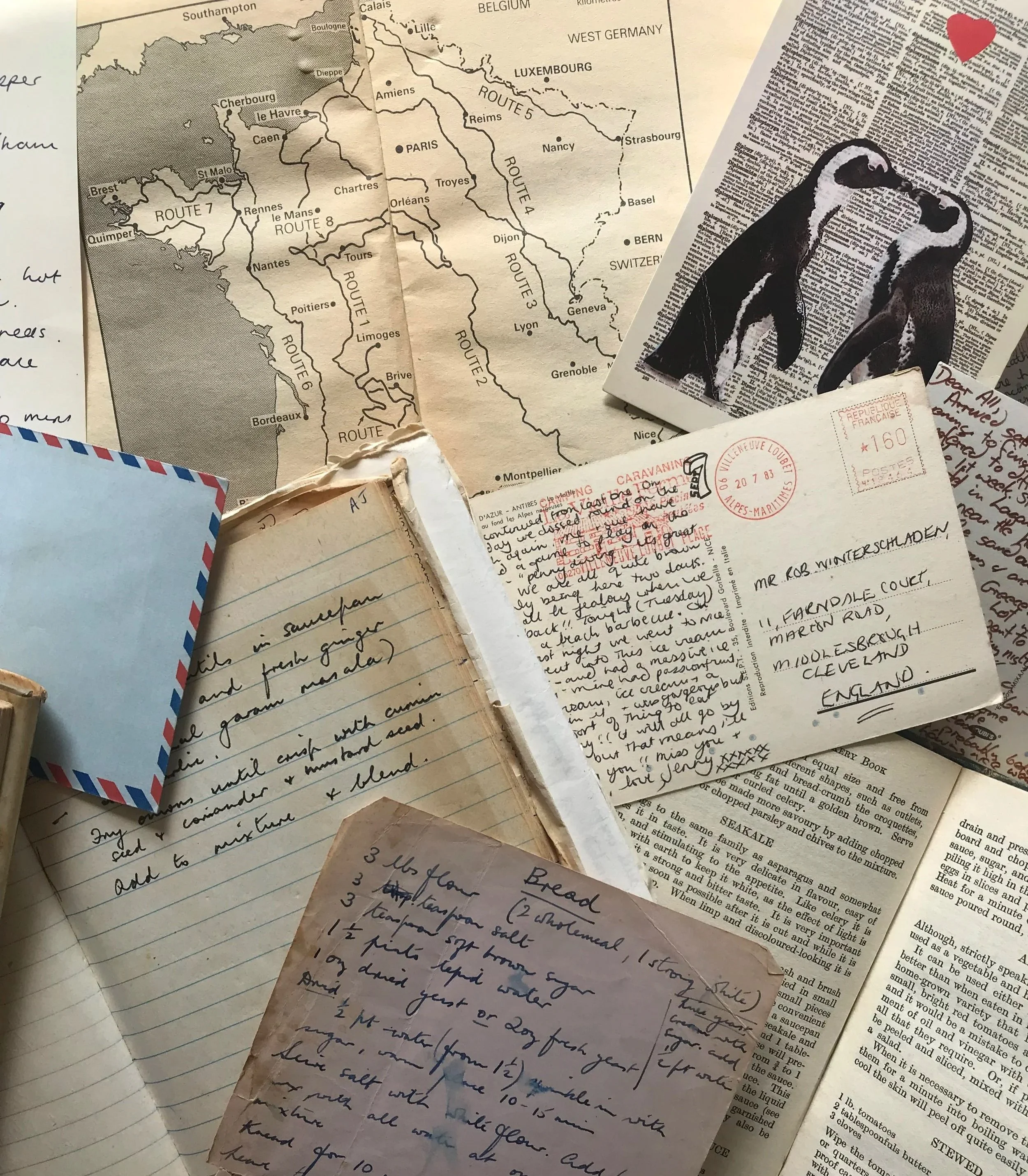 A collection of handwritten letters, a map of France showing major cities and routes, a postcard featuring a black and white dog illustration, and some printed text on various papers and envelopes.