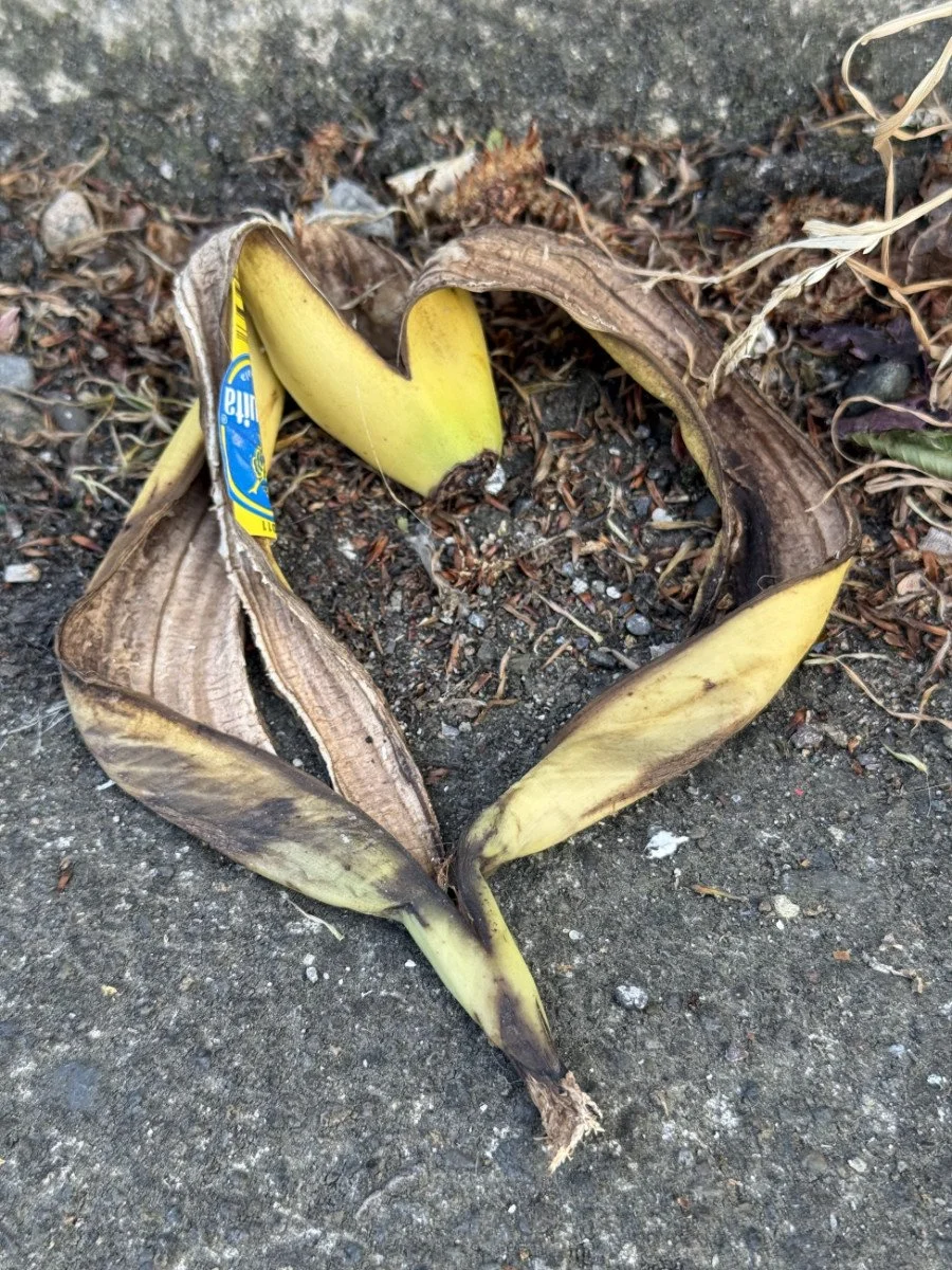 bannanas-heart.jpg