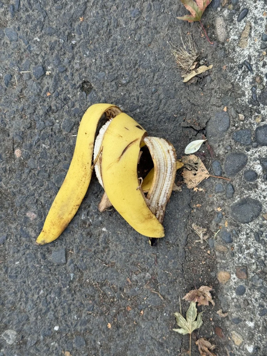 bannanas-1a.jpg