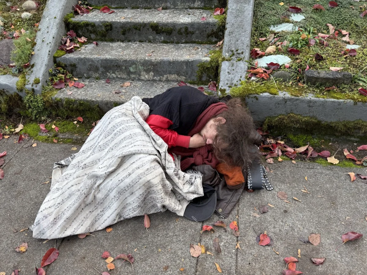collapse-stepsleeper.jpg