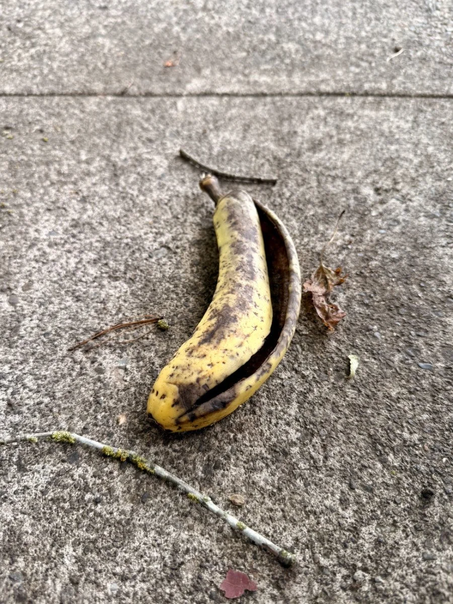 bannanas-slit.jpg