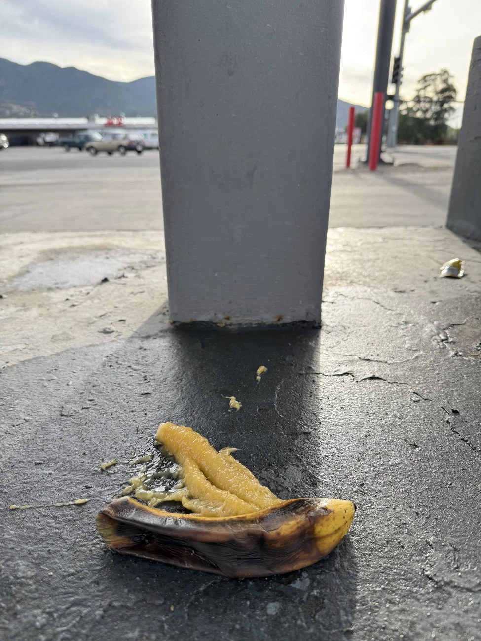 bannanas-mushpillar.jpg