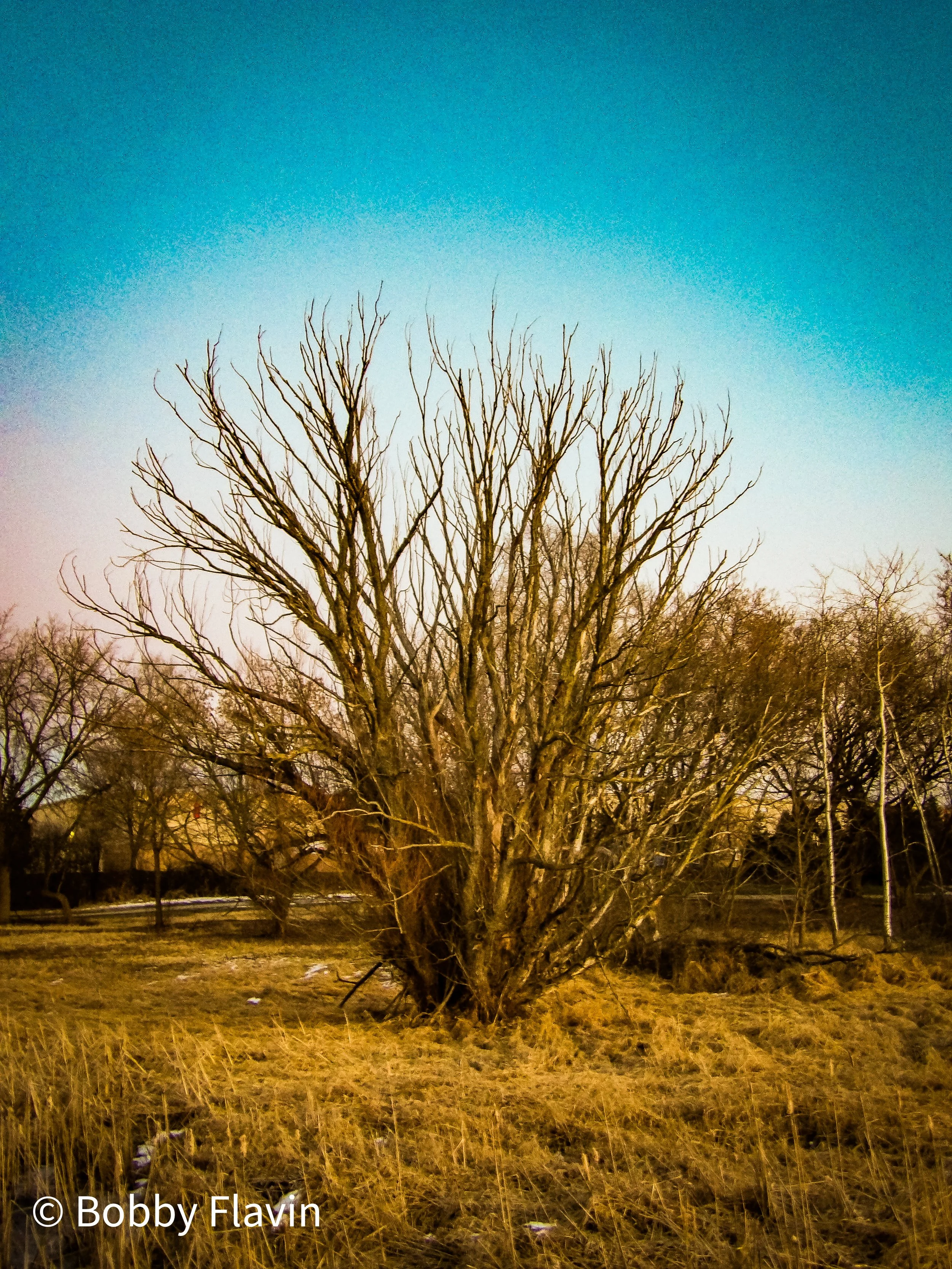 100_0322.jpg