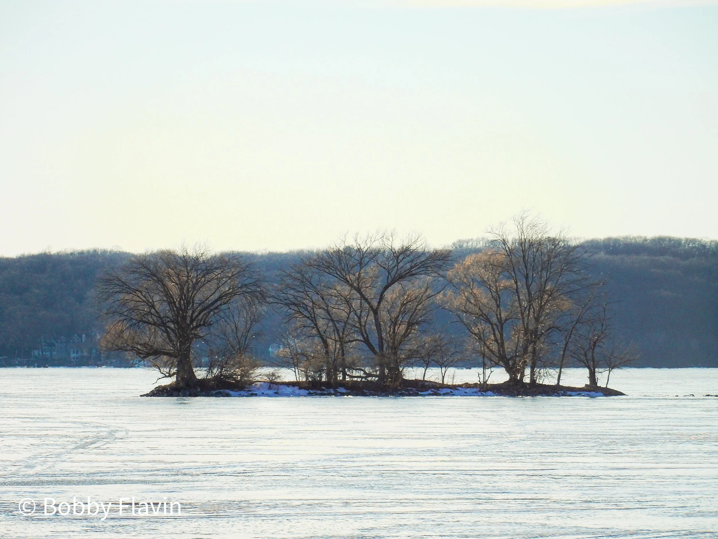 100_0287.jpg