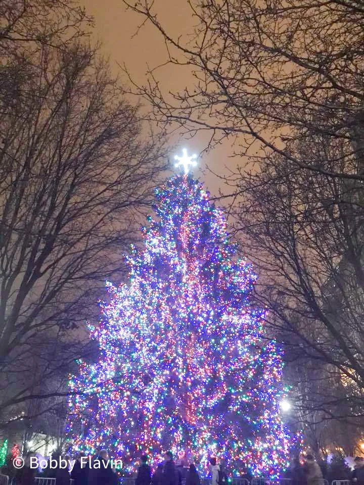 25659973_10211249811540302_7796434477166799726_n.jpg