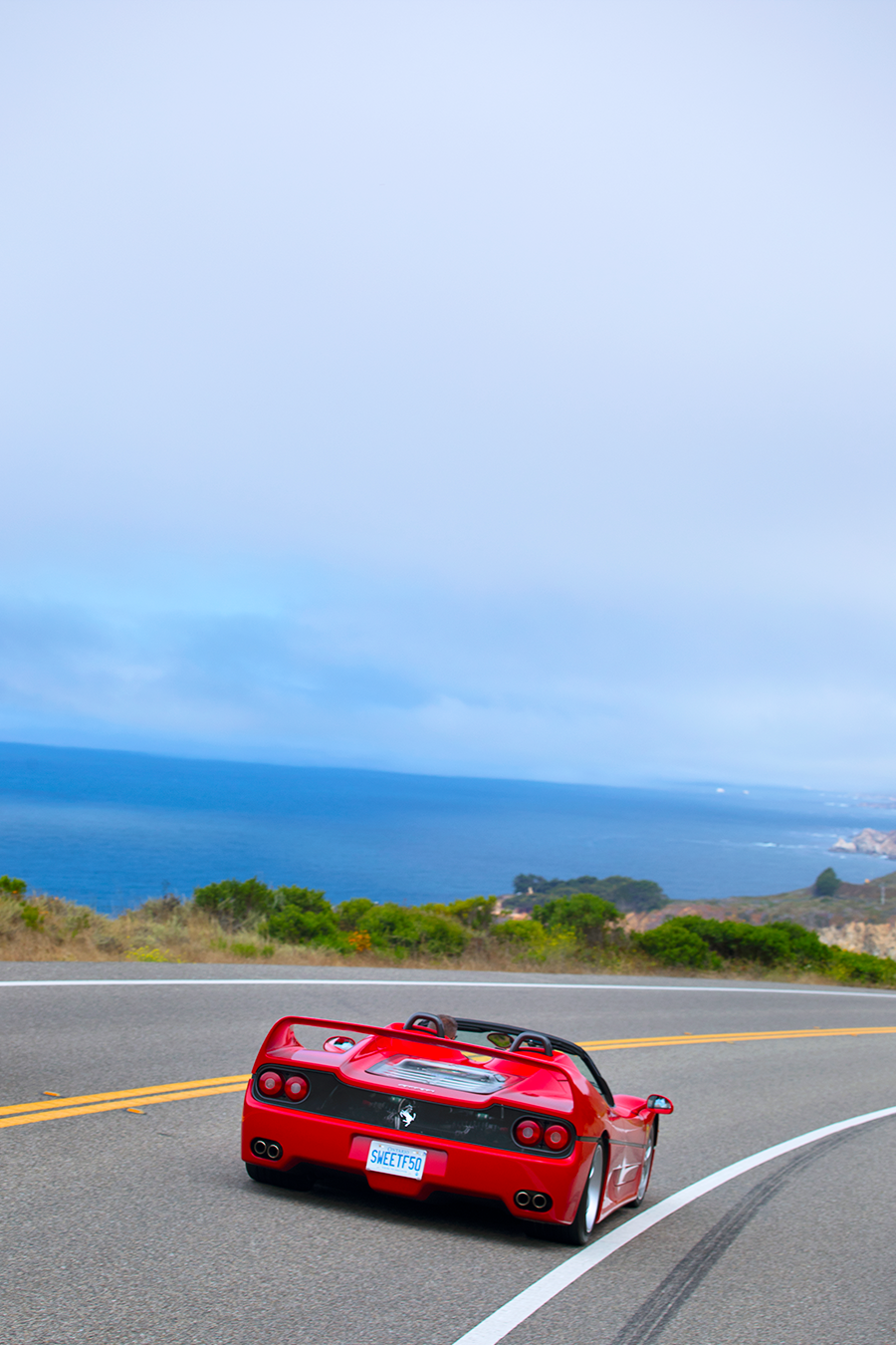 CCAM4954-1  comp.png