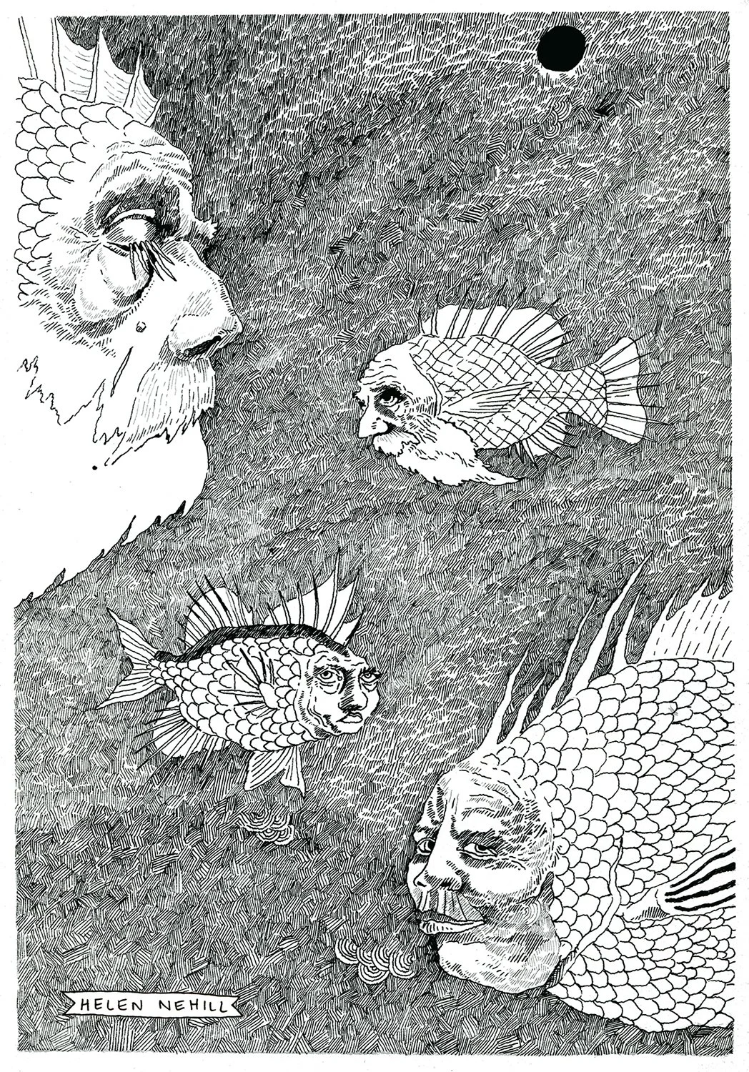 fishdreams317 copy web copy.jpg