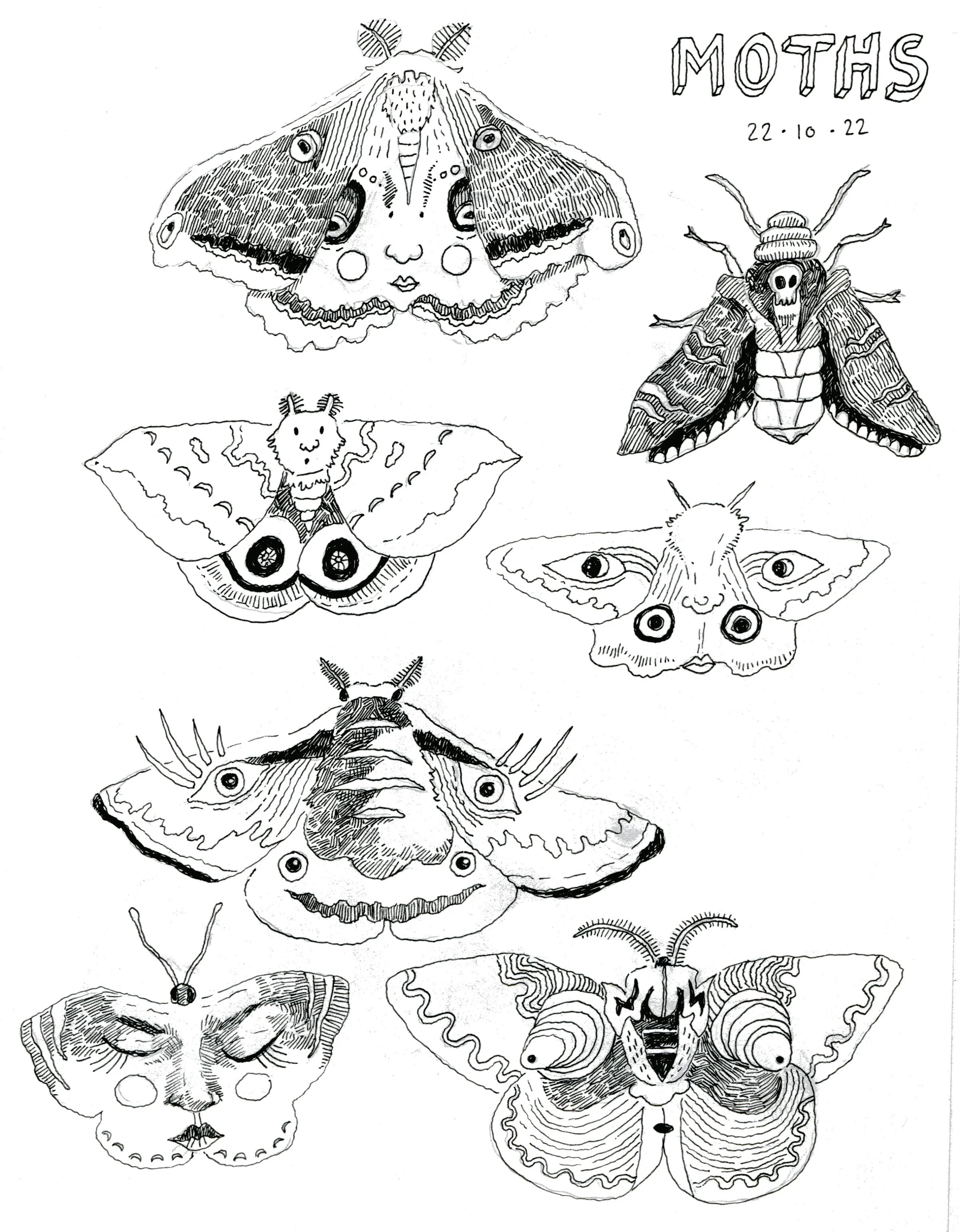 moths496 copy.jpg