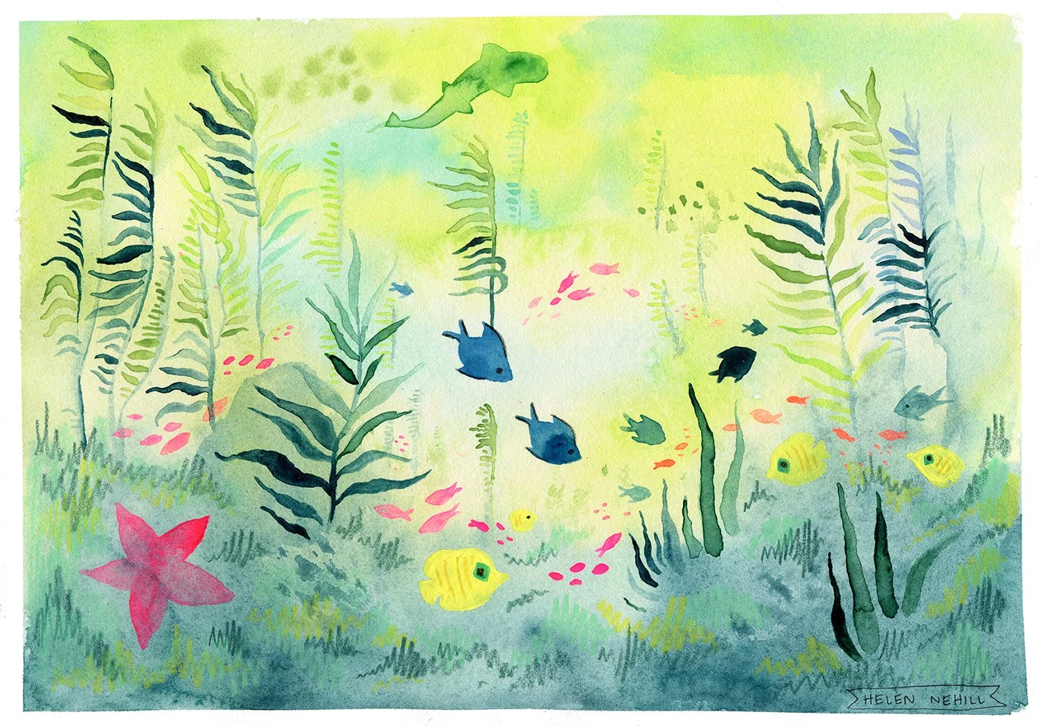 coralreef310 copy web copy.jpg