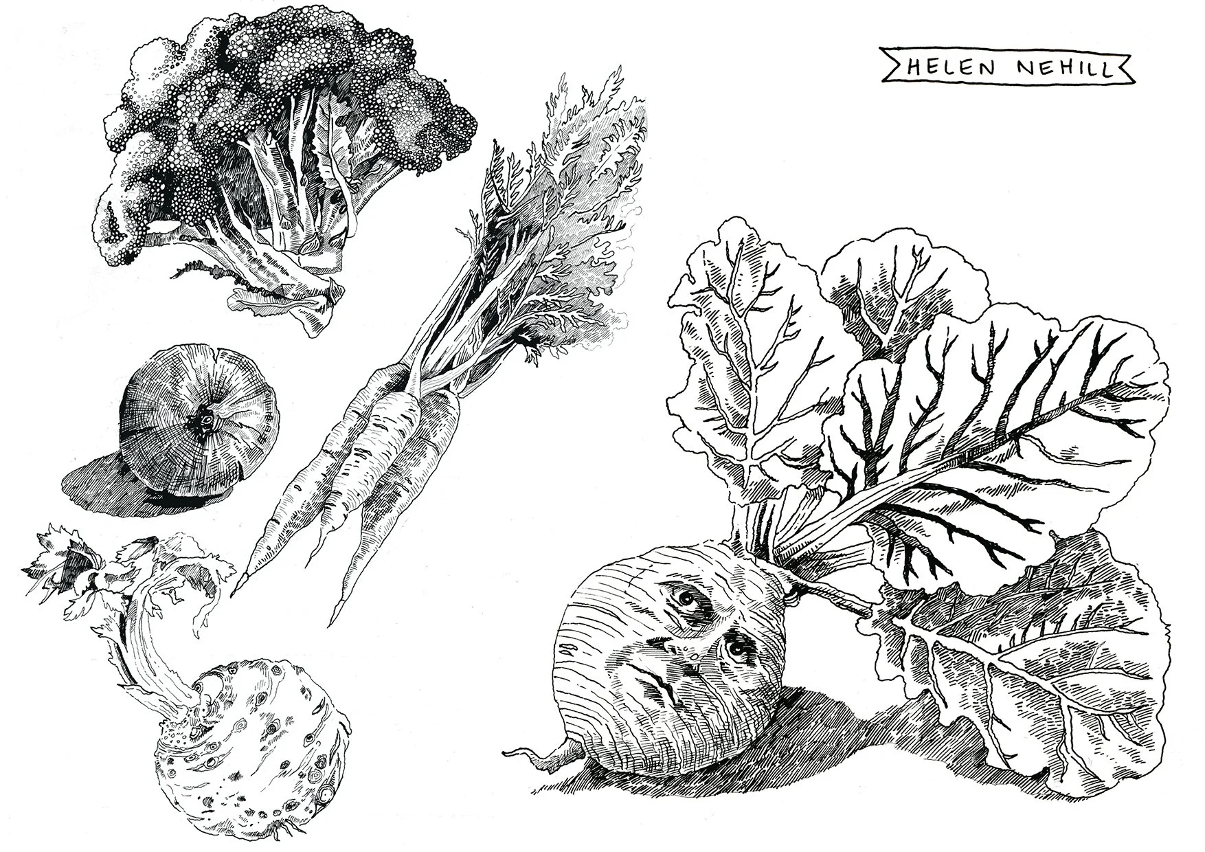 sketchbookveggies copy web.jpg