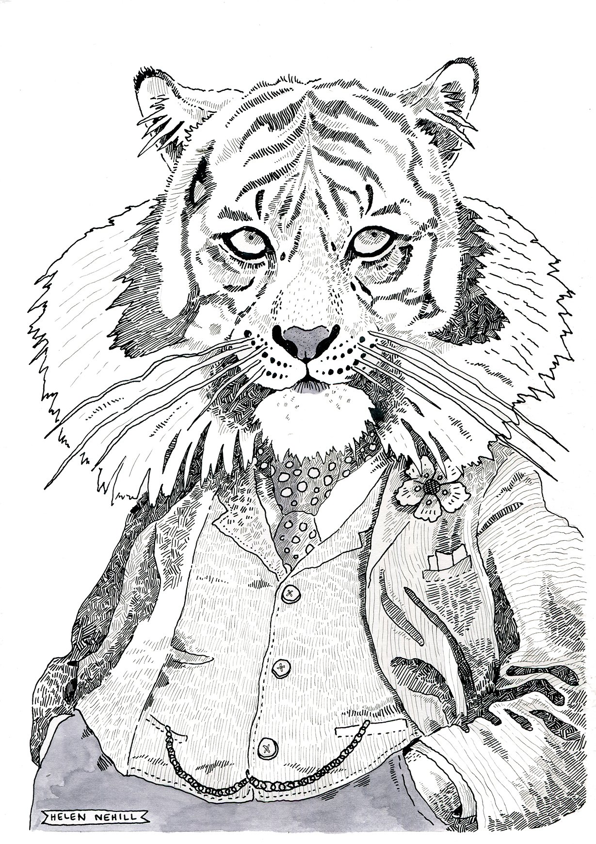 Dapper Tiger