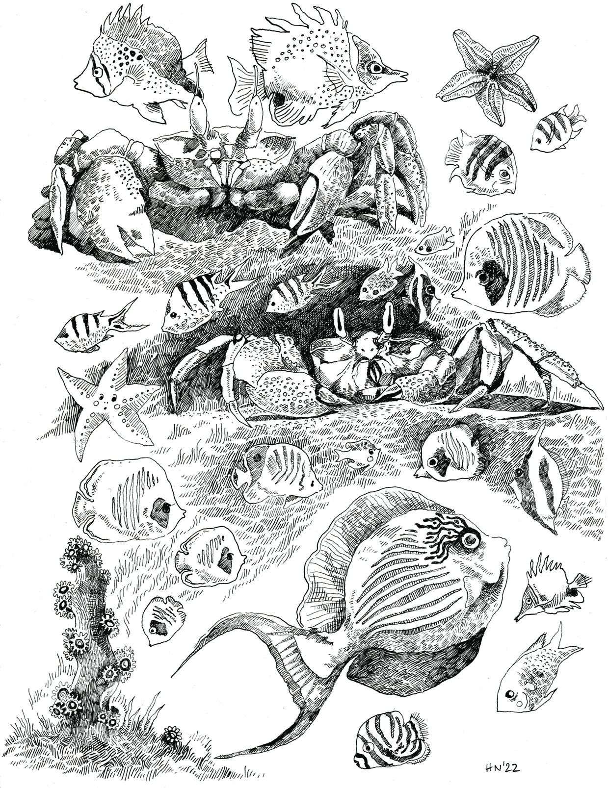 seasketches251 copy web.jpg