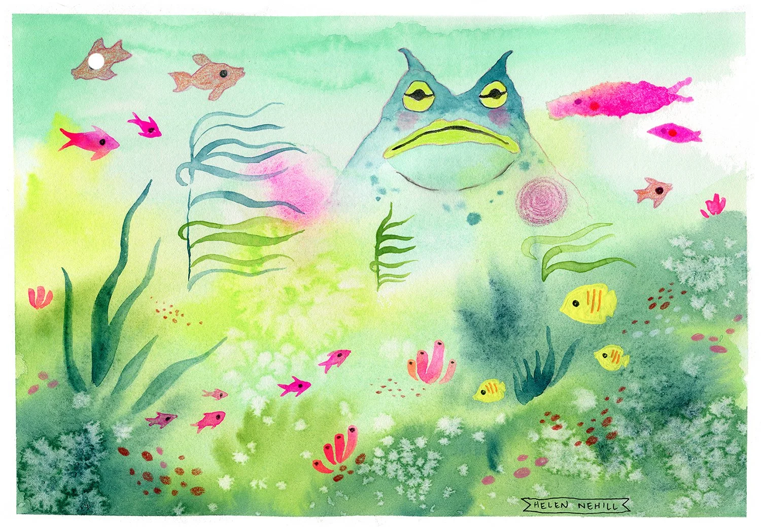 frogguardian301 copy web copy.jpg