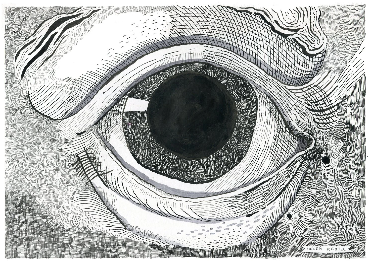 eye494 copy 2.jpg