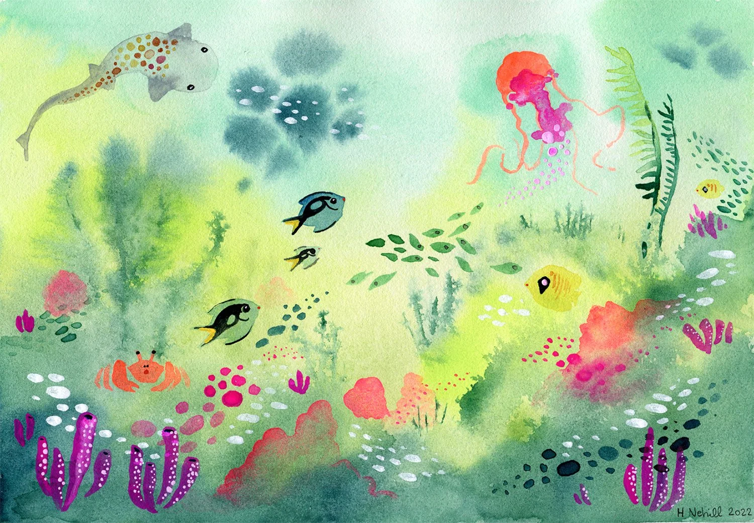 underwaterbackground257 copy web copy.jpg