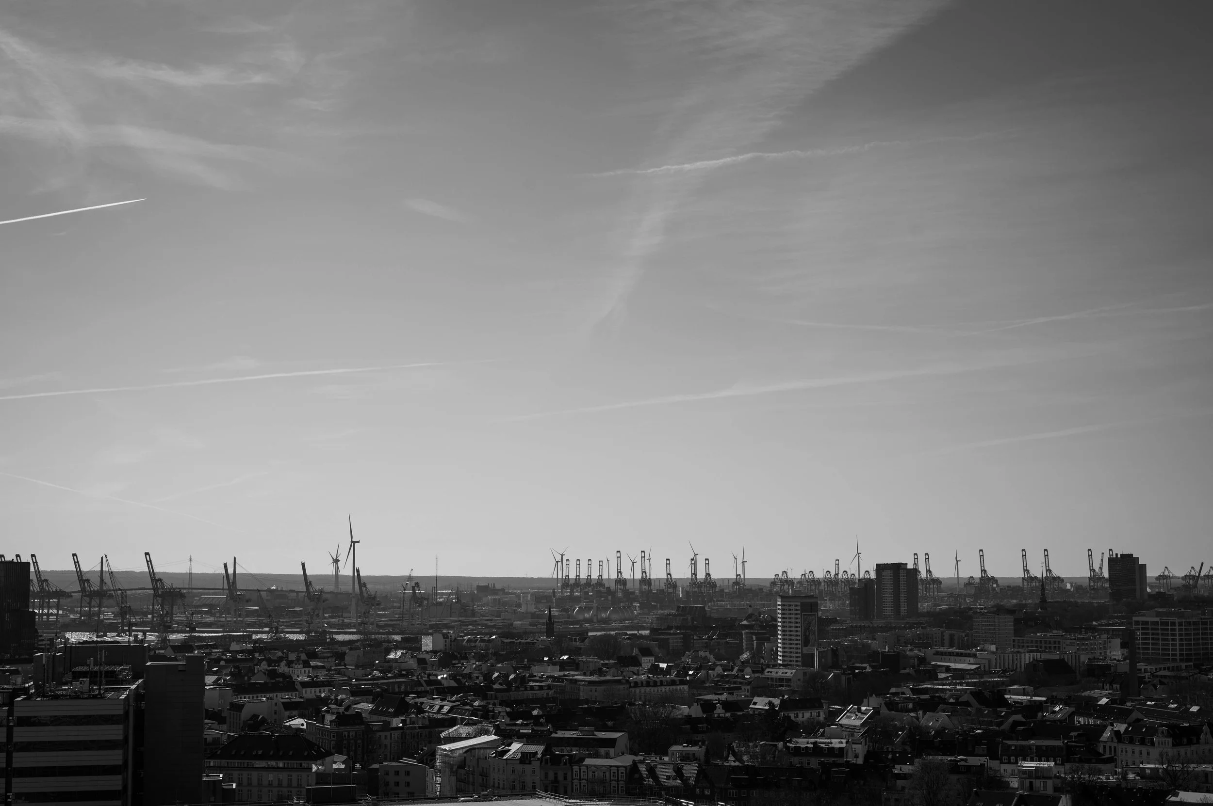 DSC_2780.jpg
