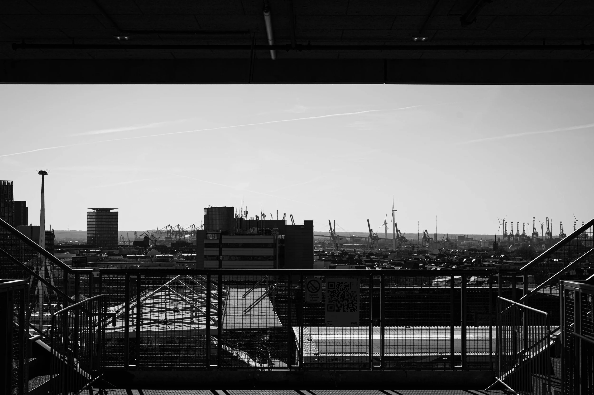 DSC_2767.jpg