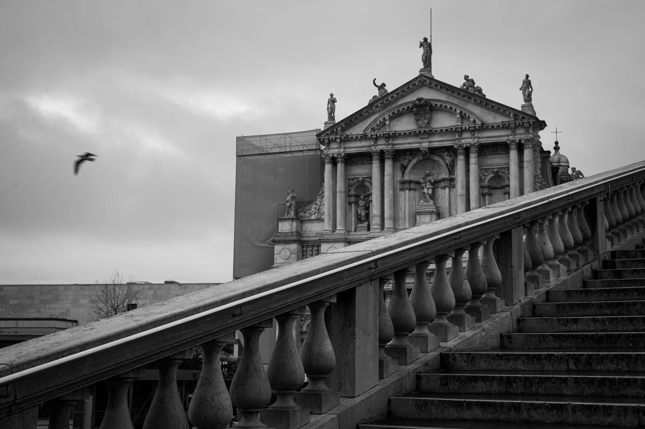 DSC_2493.jpg