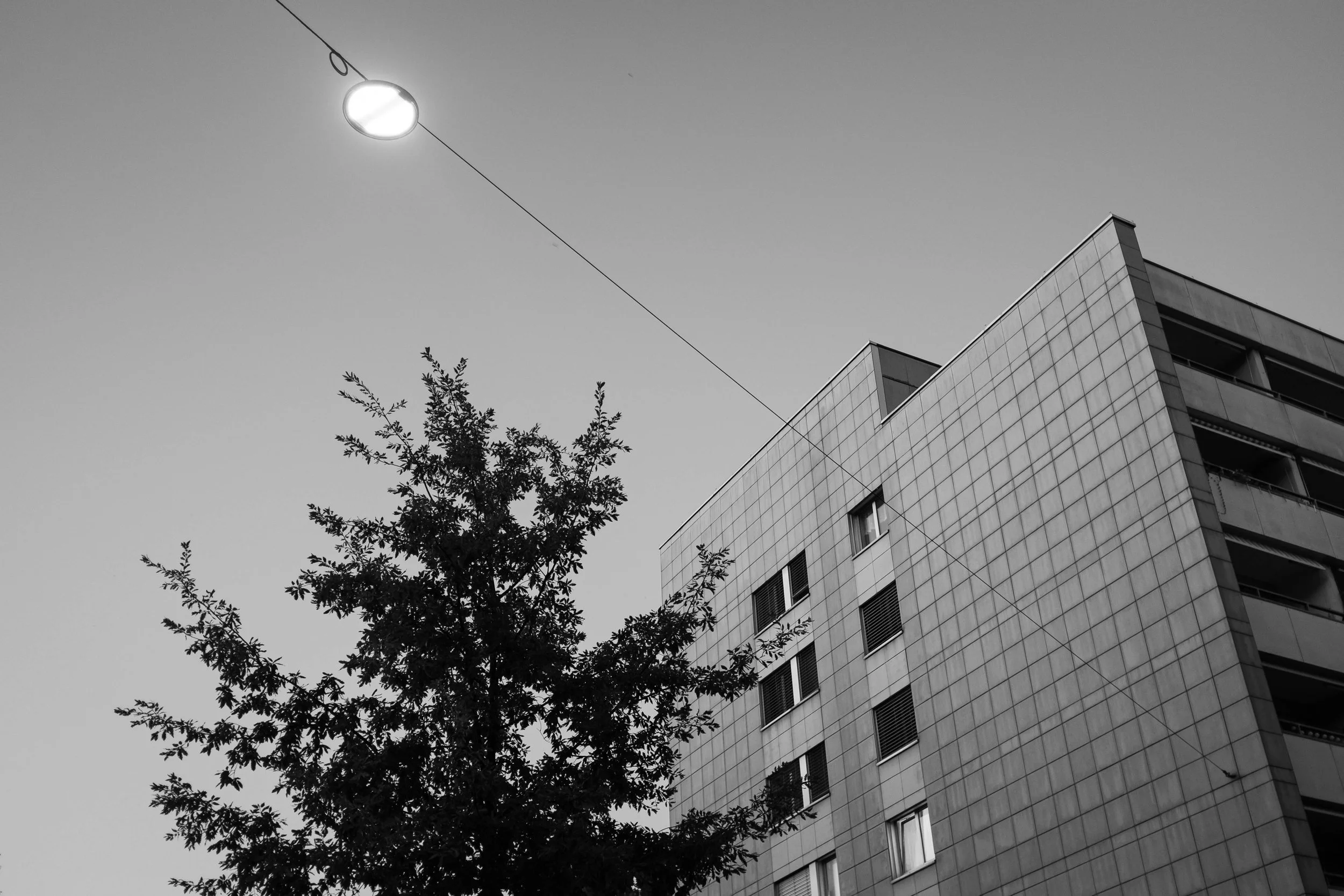 DSCF9672.jpg