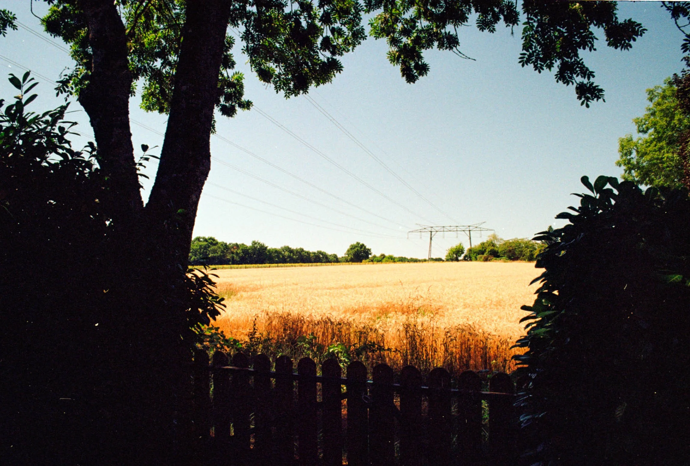 File 03-08-2025 at 14.49.25 21.jpg