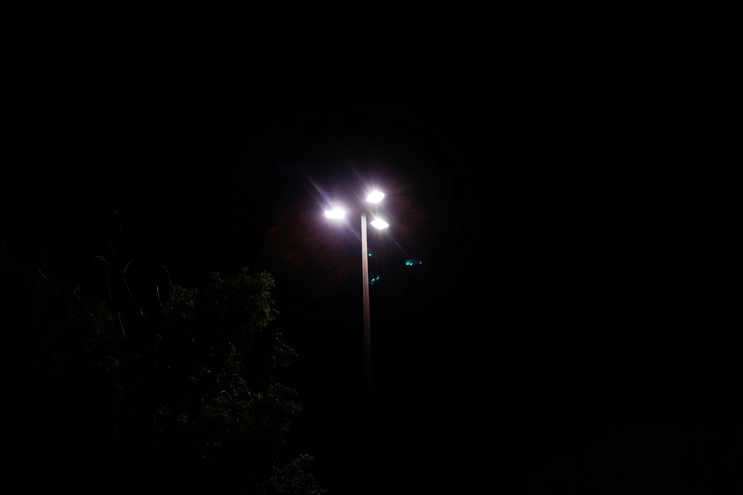 DSCF9504.jpg