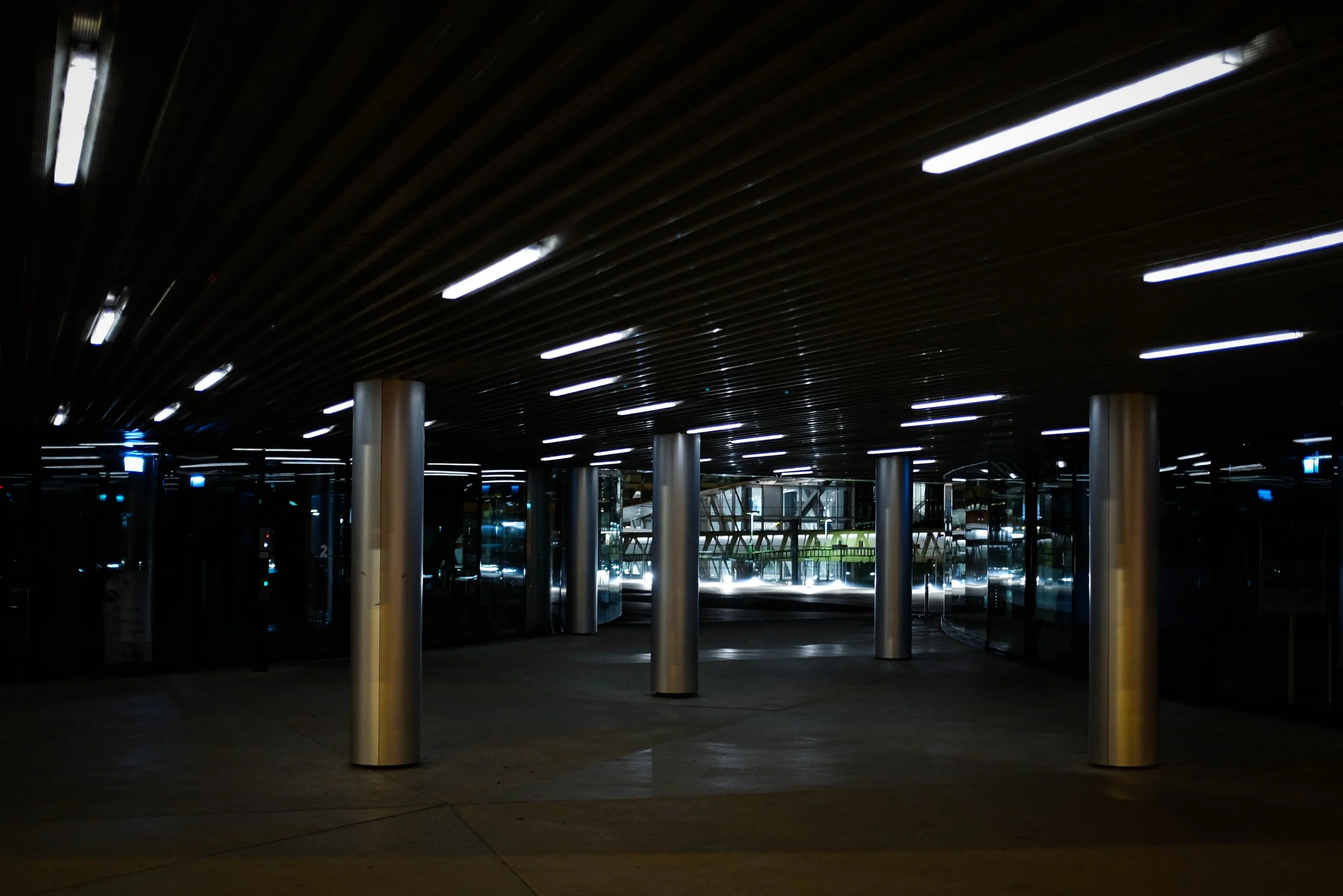 DSCF9501.jpg